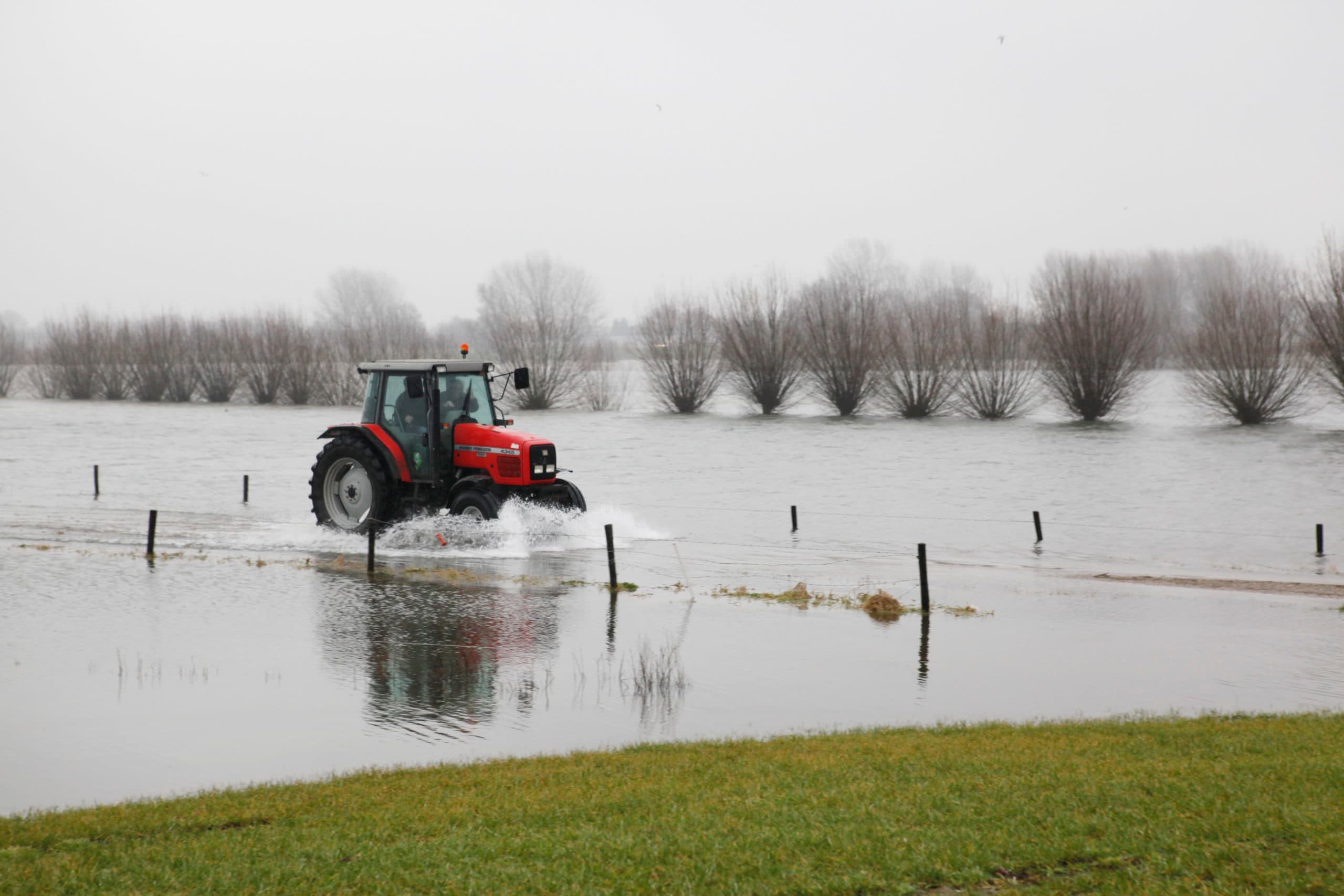 Foto: Jan Willem Schouten