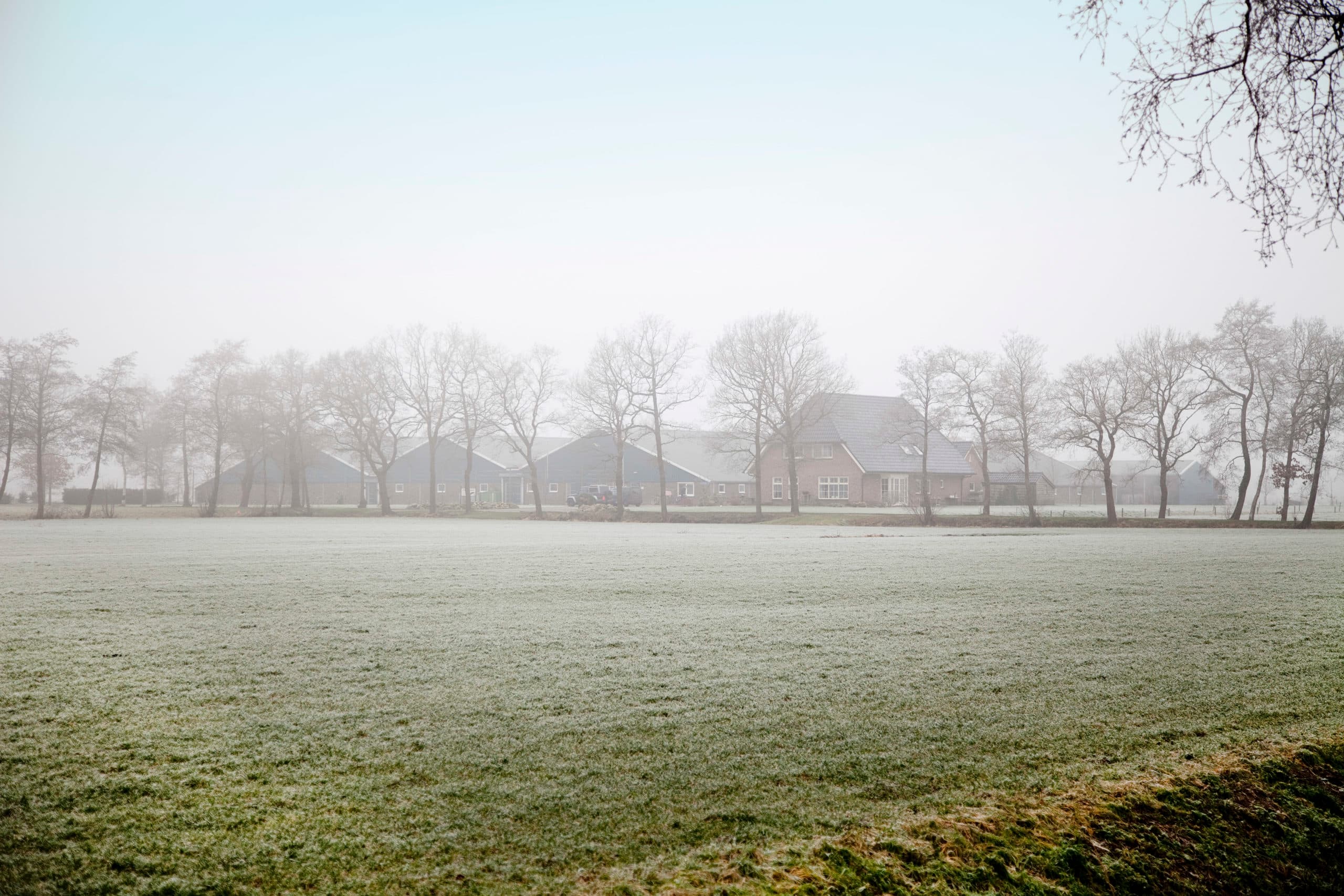 Foto: Jan Willem Schouten