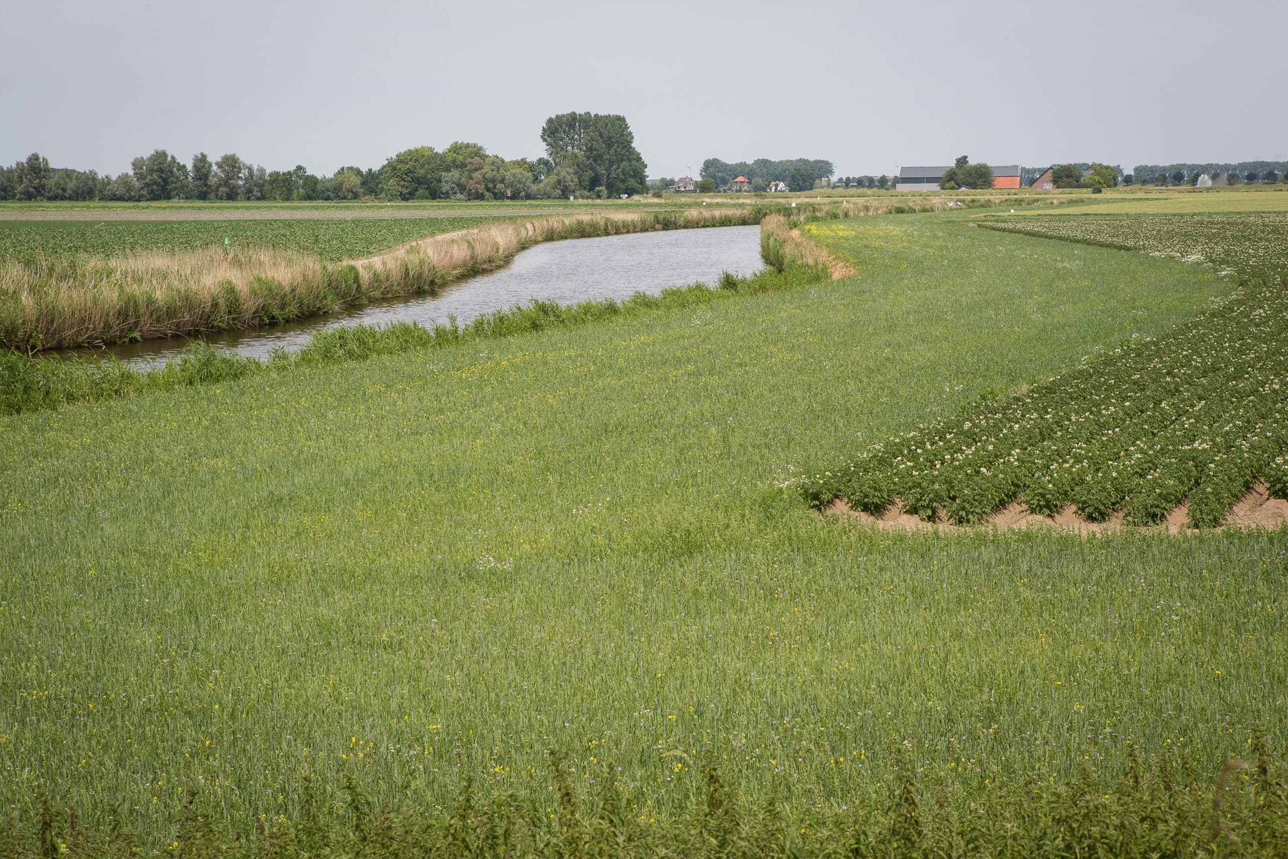 Foto: Peter Roek