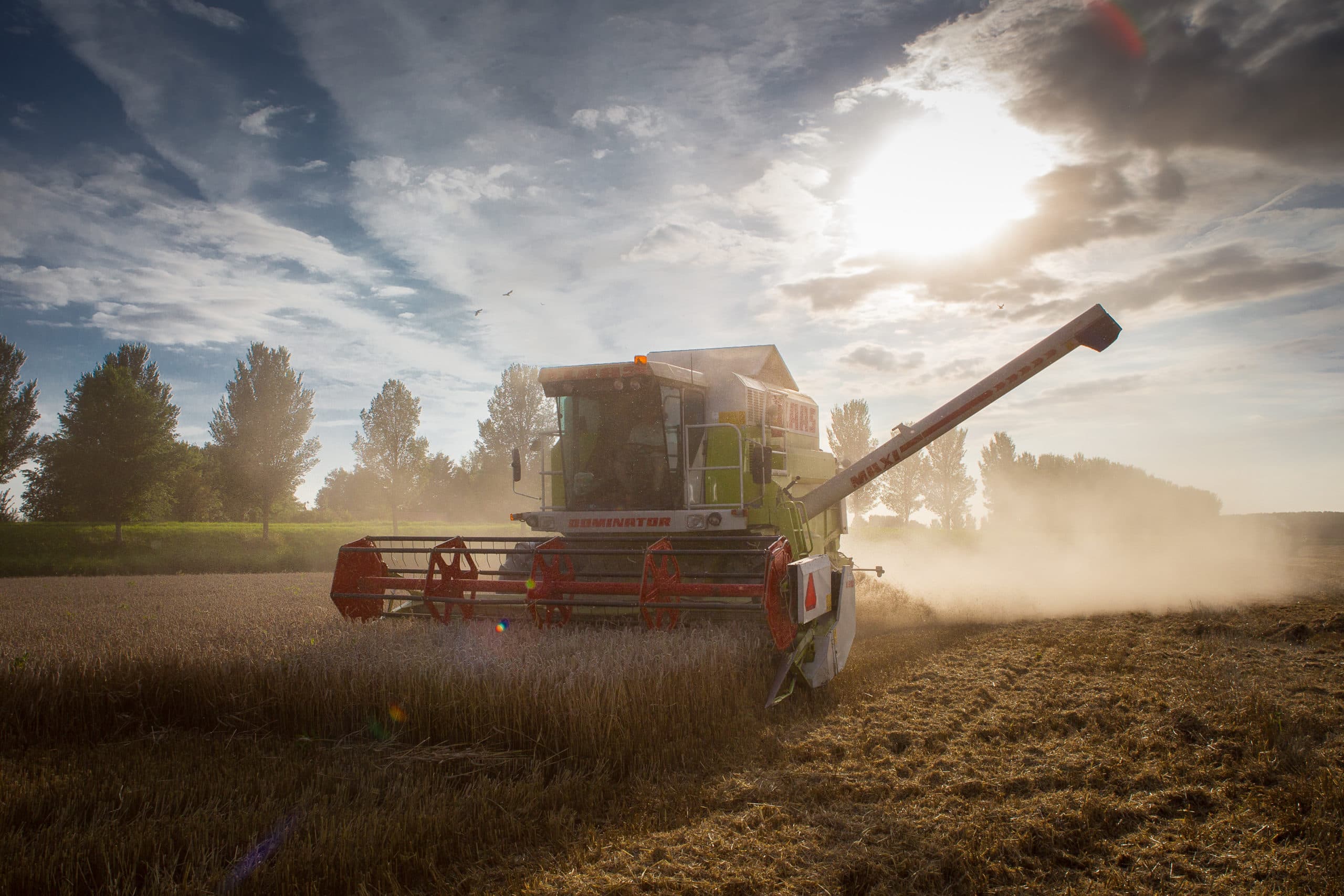 Foto: Peter Roek