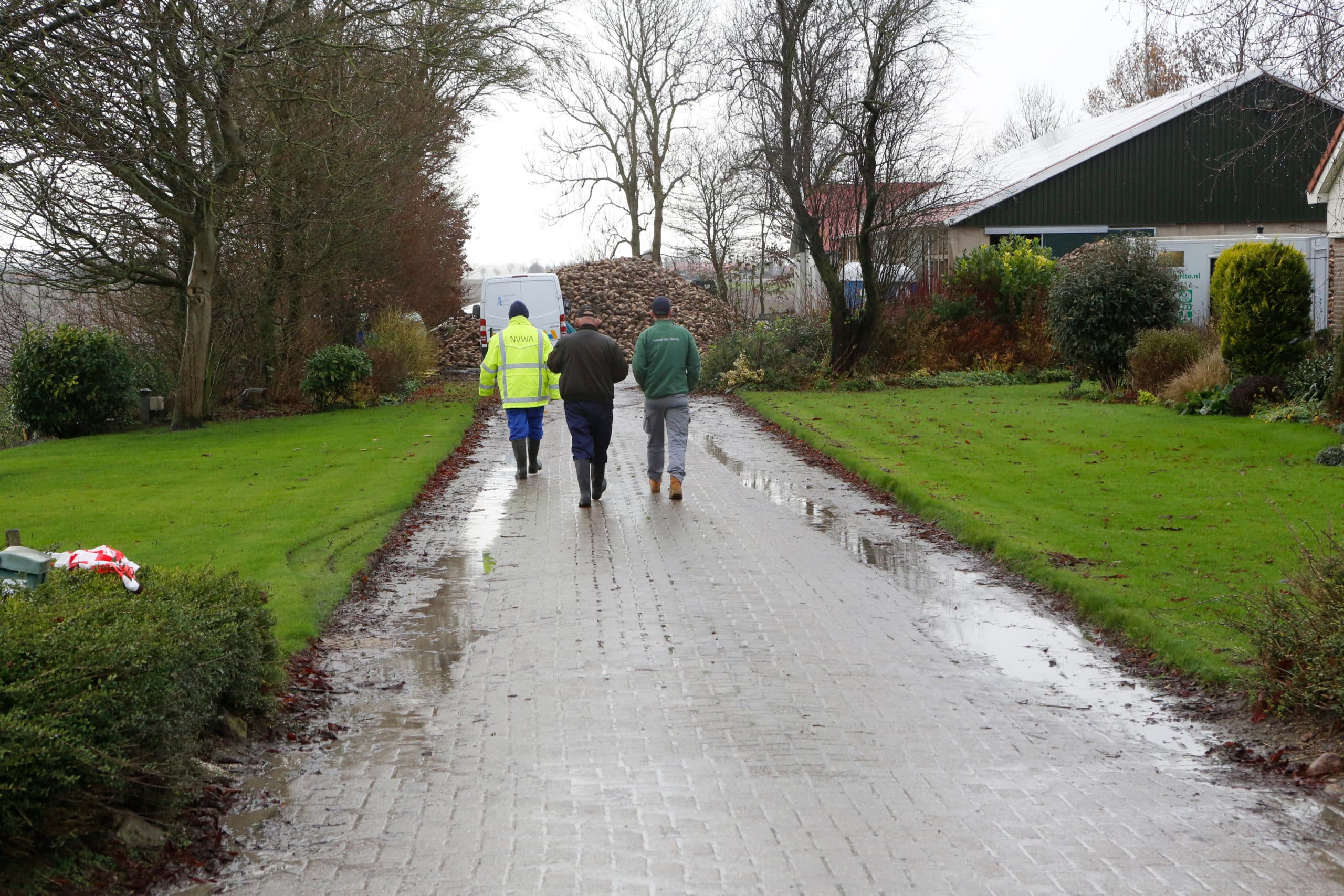 Foto: Henk Riswick