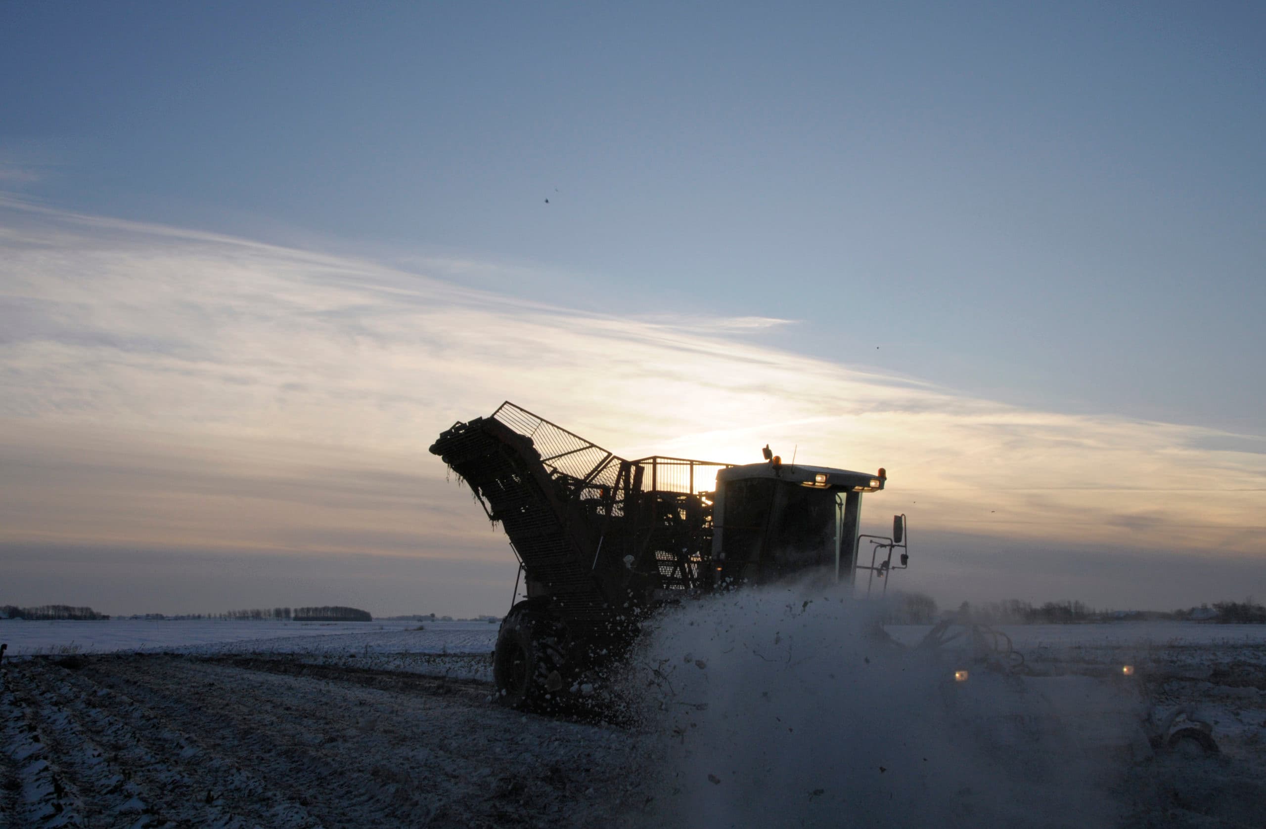 Winterse bietenoogst in de sneeuw, in Friesland, enkele jaren geleden. - Foto: Penn Communicatie