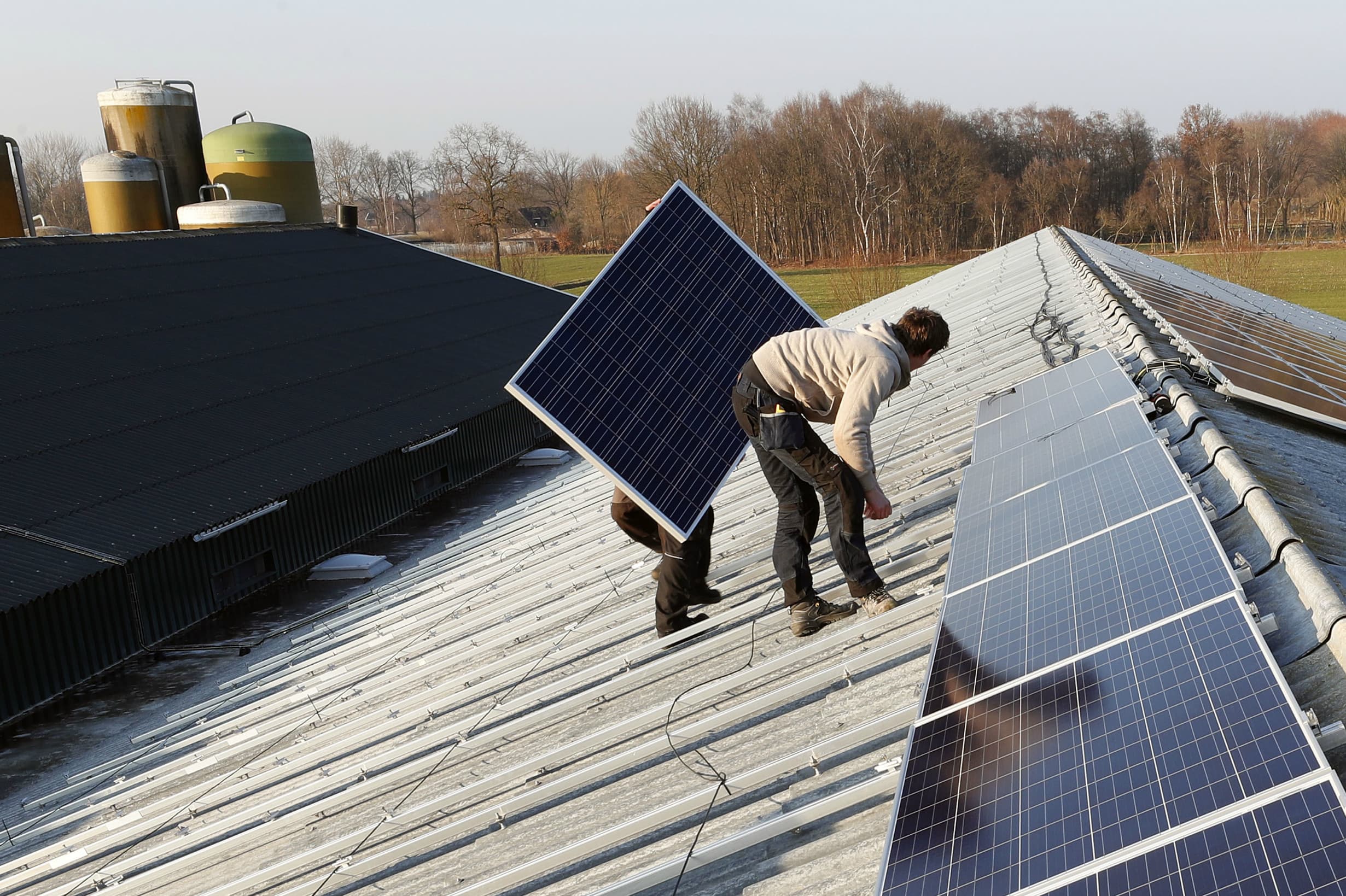 Zonnepanelen is één van de 27 investeringscategorieën waarvoor subsidie beschikbaar is. - Foto: Bert Jansen