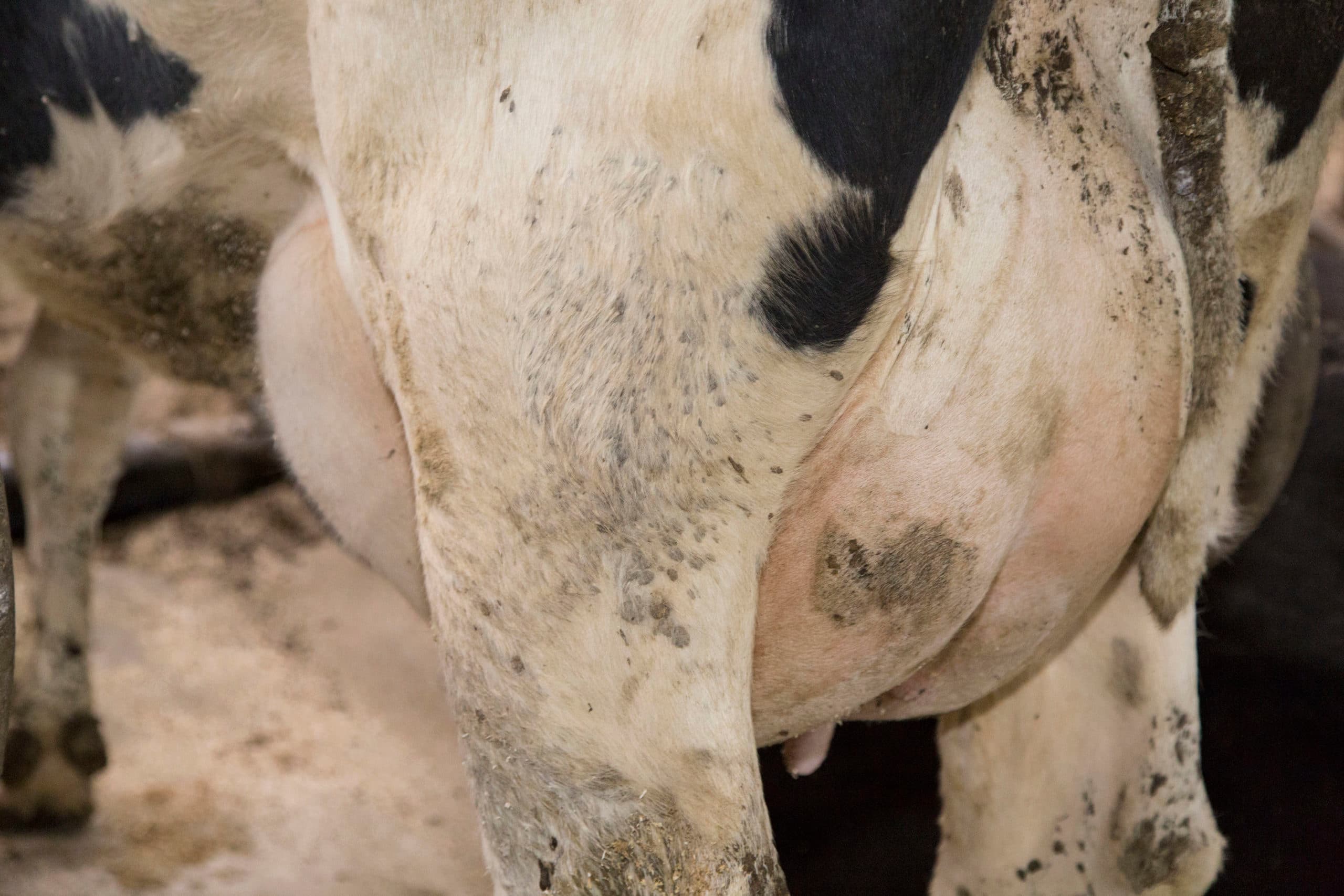 Foto: Koos Groenewold