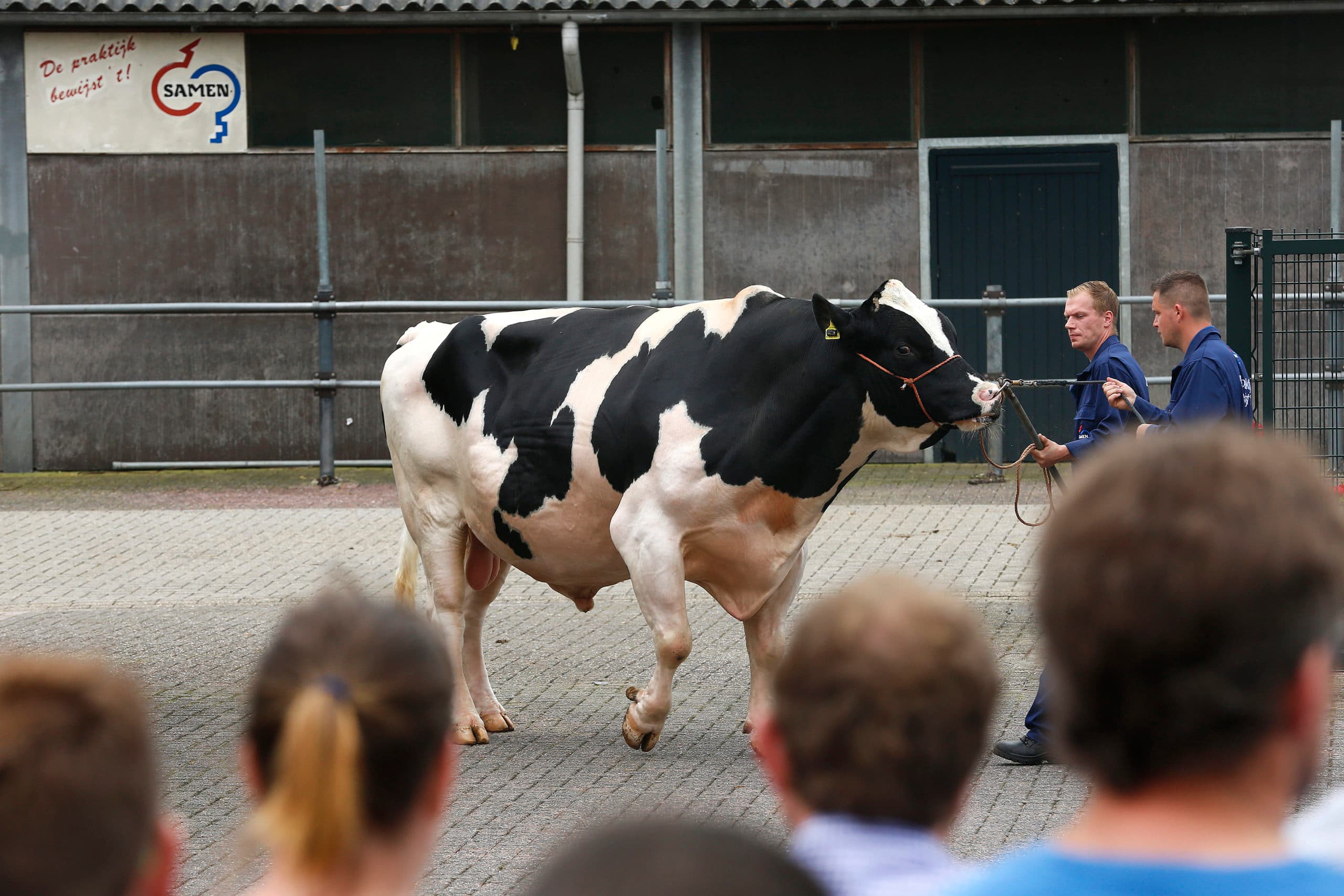 Presentatie door KI Samen. De organisatie is in beroep gegaan tegen CRV.
