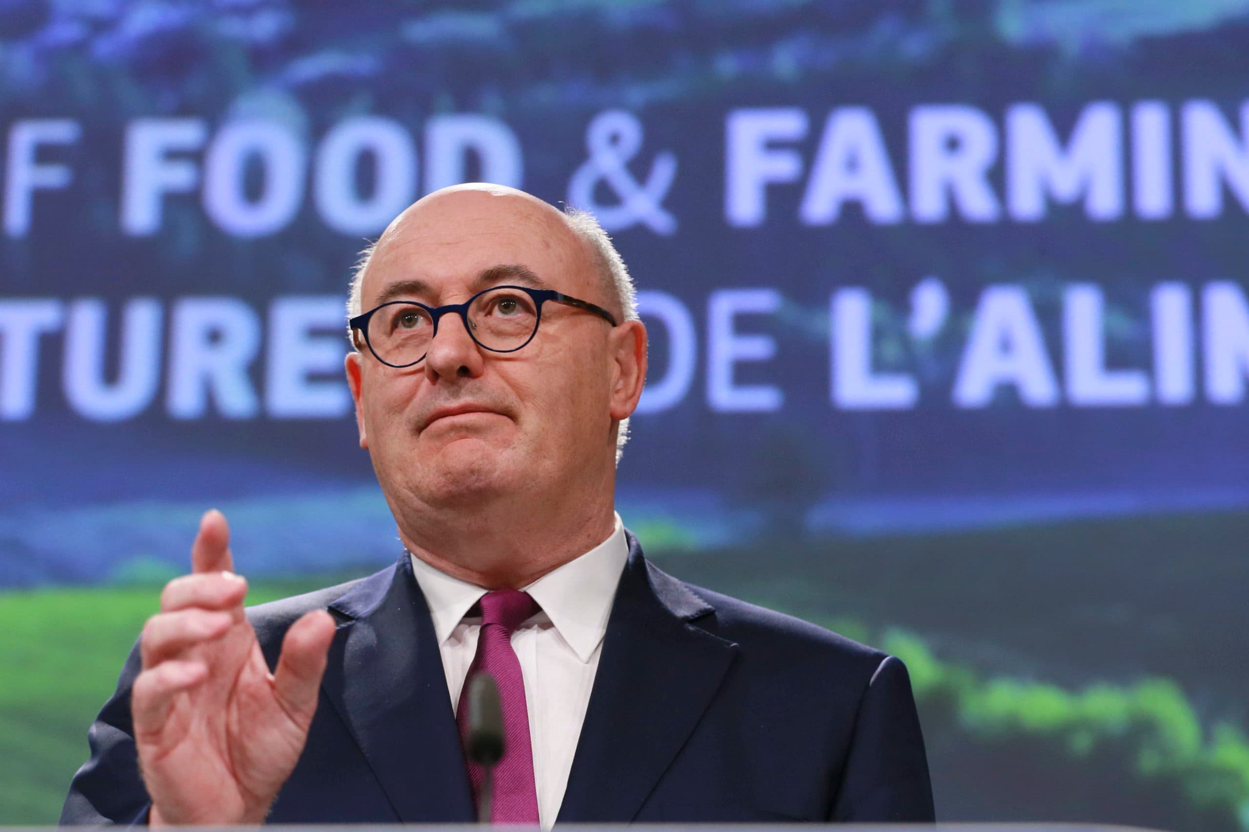 Phil Hogan - Foto: EPA