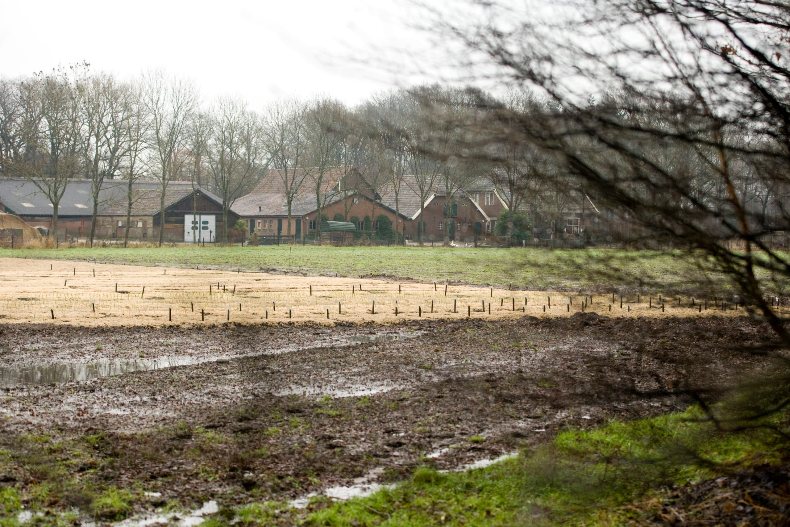 Foto: Koos Groenewold