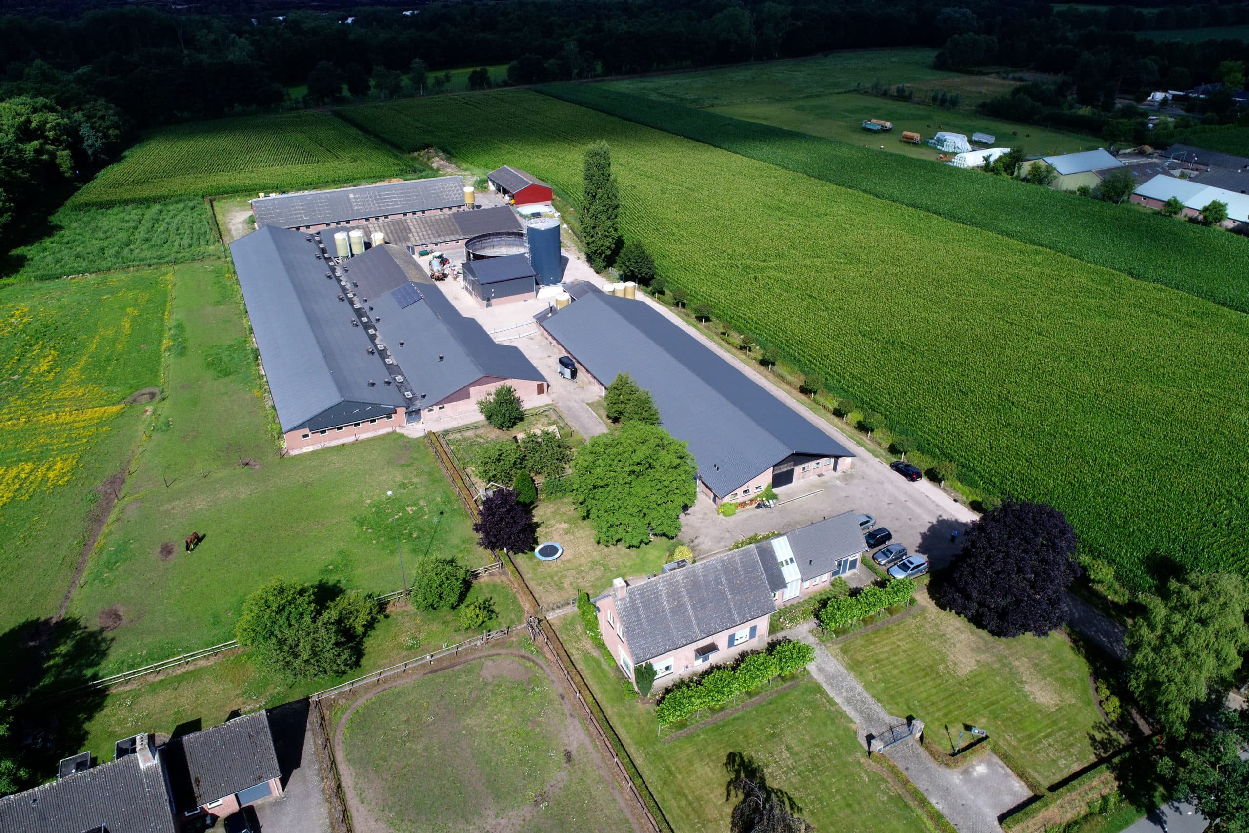 Het varkensbedrijf van Verhoeven. Hier is het idee voor dagontmesting ontstaan. - Foto: Bert Jansen
