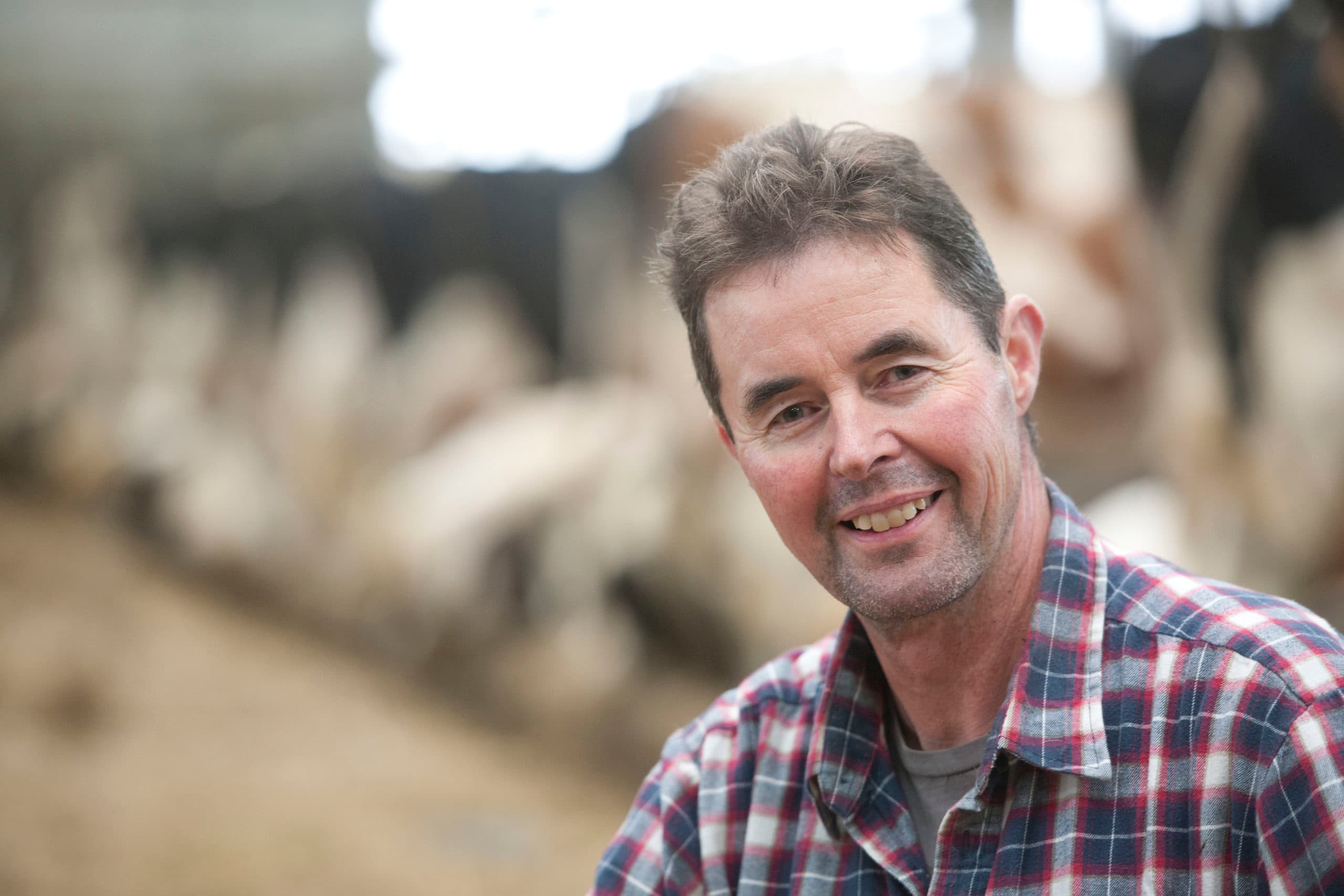 Sytze Holtrop vindt dat zuivelverwerkers eerst de effecten van de inrichting van moderne grupstallen op diergezondheid, dierenwelzijn en milieu daadwerkelijk moeten meten, voordat ze hierover besluiten nemen. - Foto: Mark Pasveer