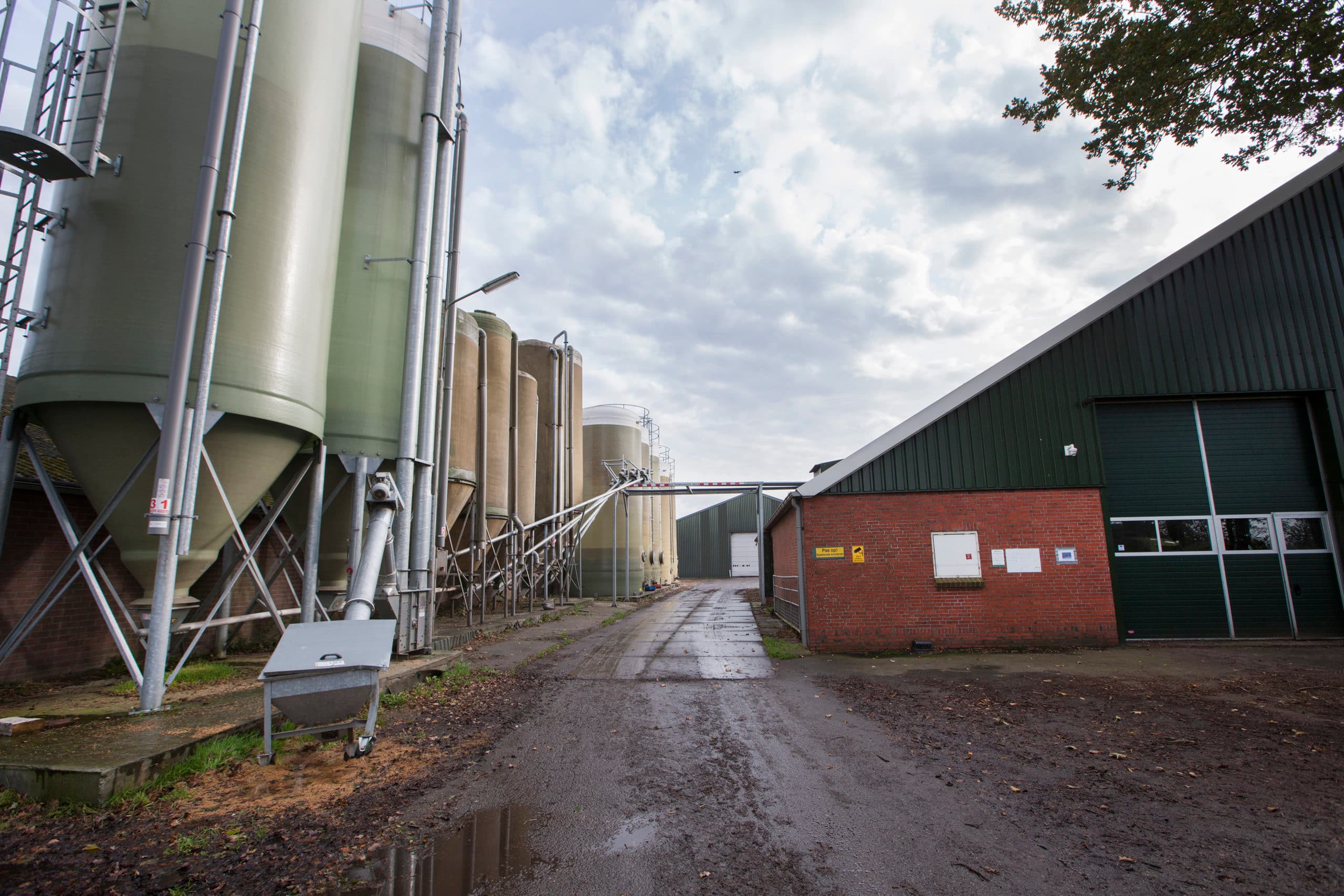 Impressie van het vleesvarkensbedrijf van Wiebe In 't Hout en zijn zus Marijke Folkers. Ze kochten er dit jaar een locatie met 4.400 vleesvarkens bij. - Foto: Hans Banus