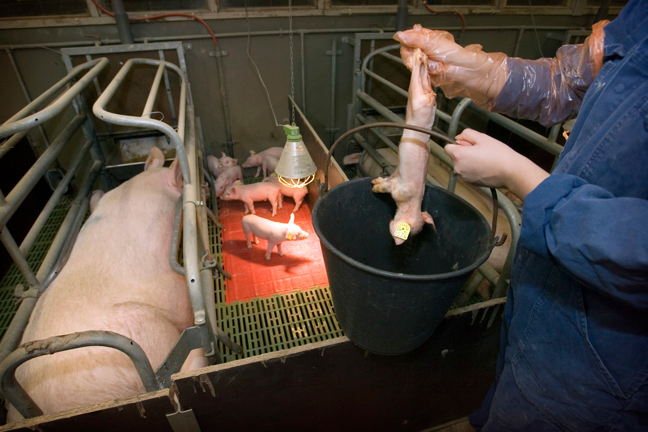 Foto: Erik van der Burgt (Verbeeld)