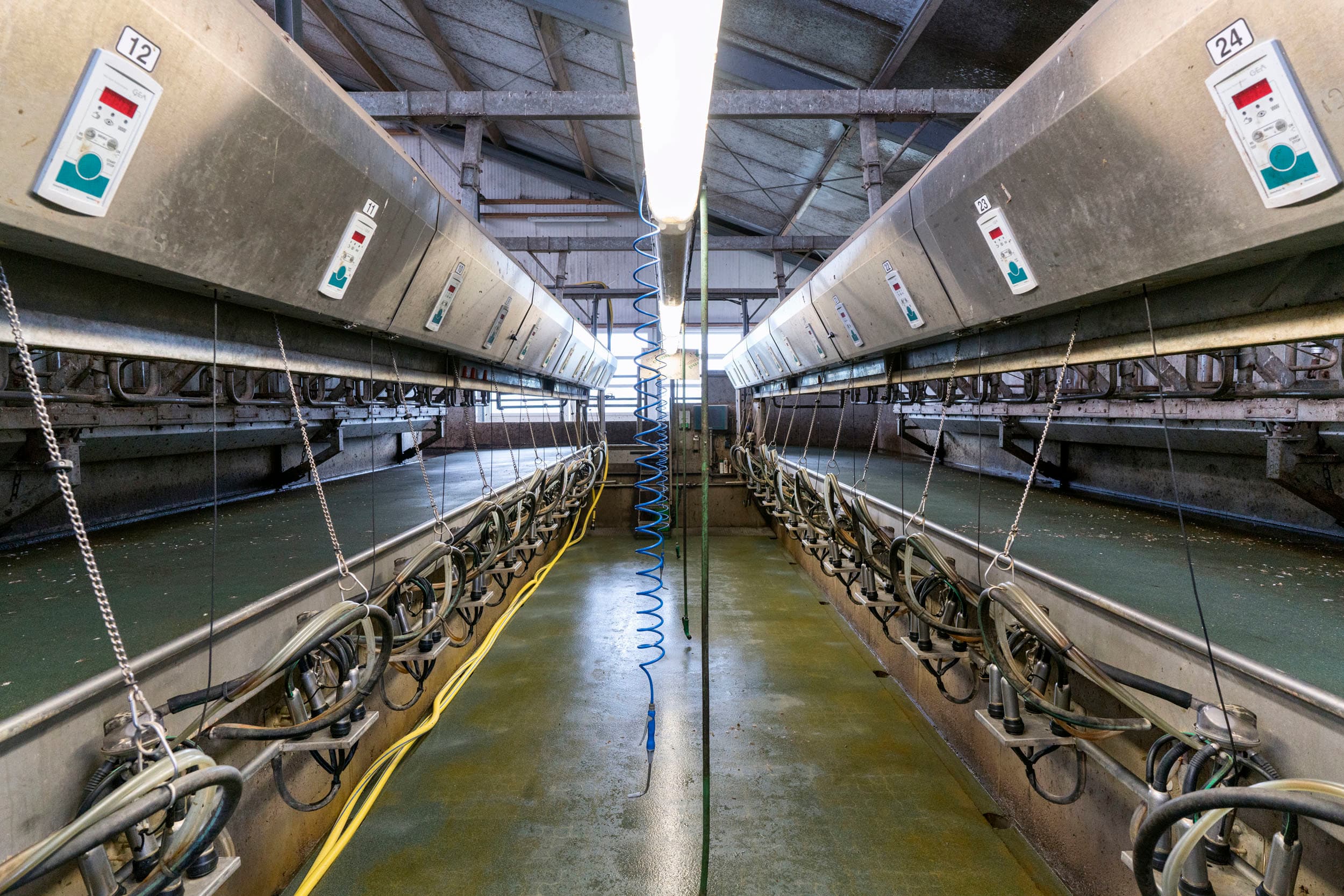 De jongveestal stamt uit 1976. De stal is van binnen functioneel en netjes bijgehouden, maar is van buiten verouderd. Een aandachtspunt is dat er nog asbest op het dak van deze stal ligt.