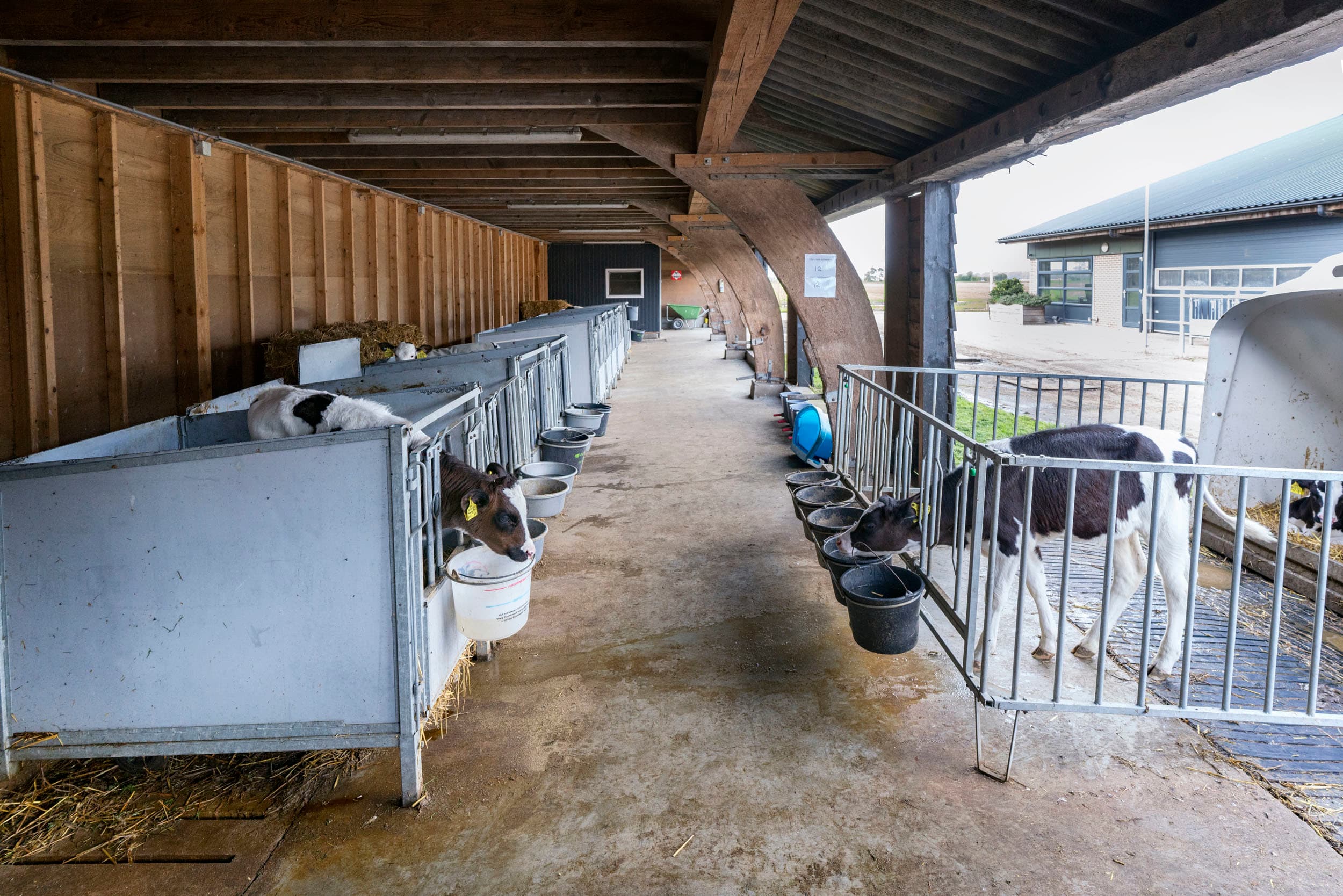 In Damwoude (Fr.) staat een up-to-date melkveebedrijf voor omgerekend 200 melkkoeien met 75 hectare te koop. De vraagprijs is ¬ 5,6 miljoen (going concern). Verkoop is om medische redenen. Het bedrijf is nog volledig in gebruik (personeel). Foto's: Martijn Hiemstra