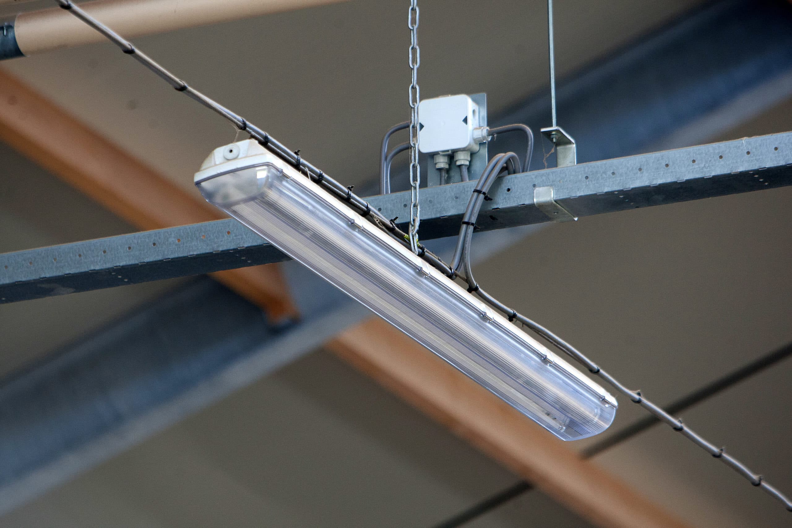 Led-verlichting in melkveestal. Bij het omschakelen van tl naar led moet goed naar veiligheid worden gekeken.