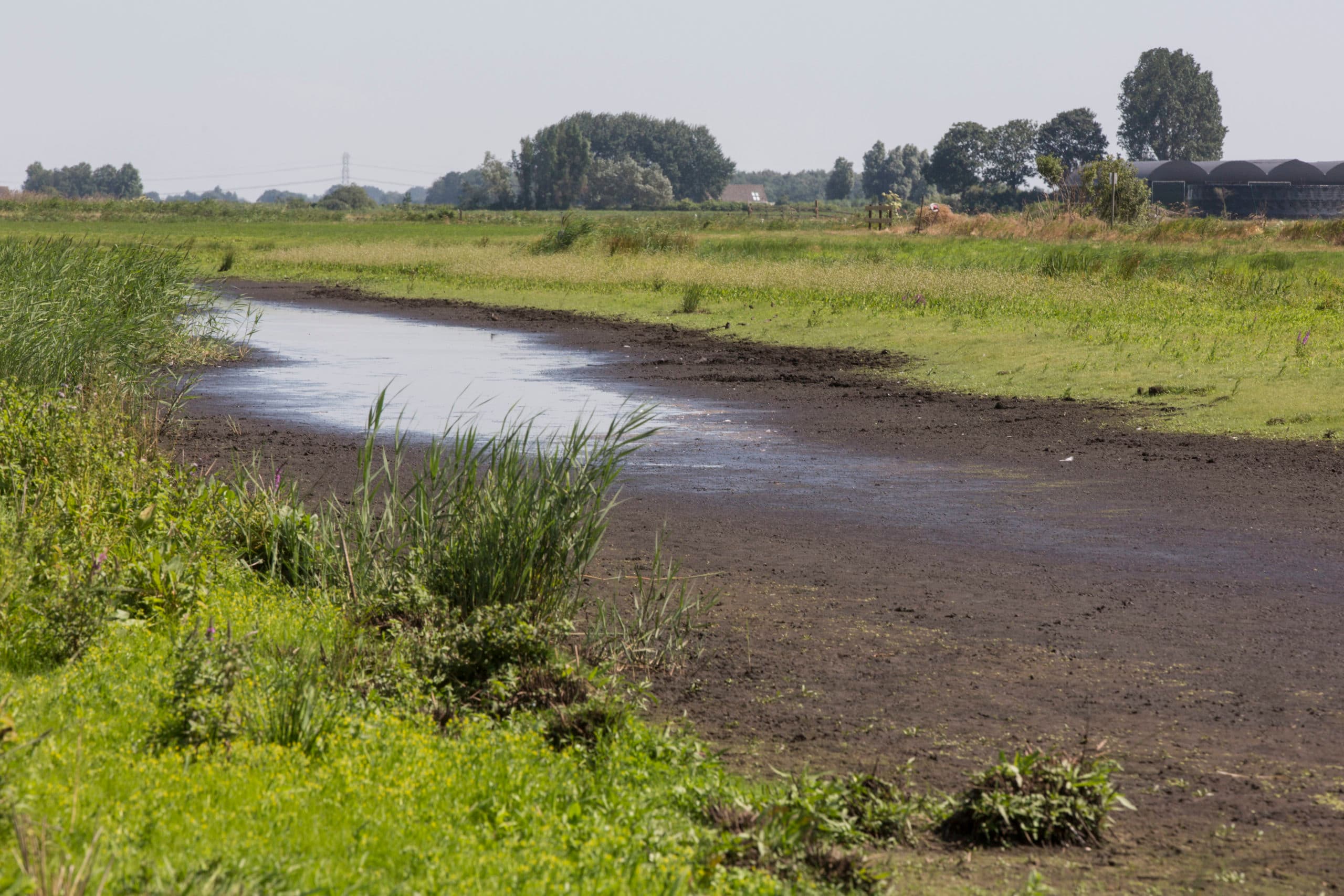 Foto: Koos Groenewold