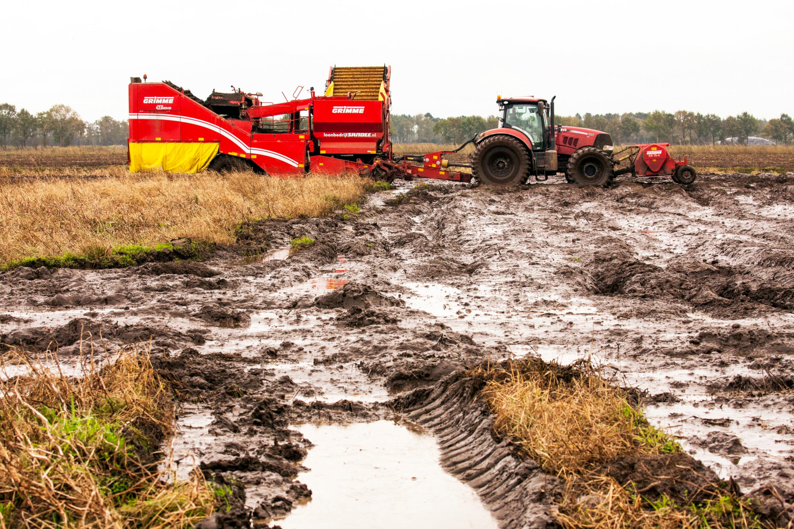 Zetmeelaardappeloogst op een nat perceel. Voordat deze grond bewerkt kan worden moet het water er eerst af. - Foto: Koos van der Spek