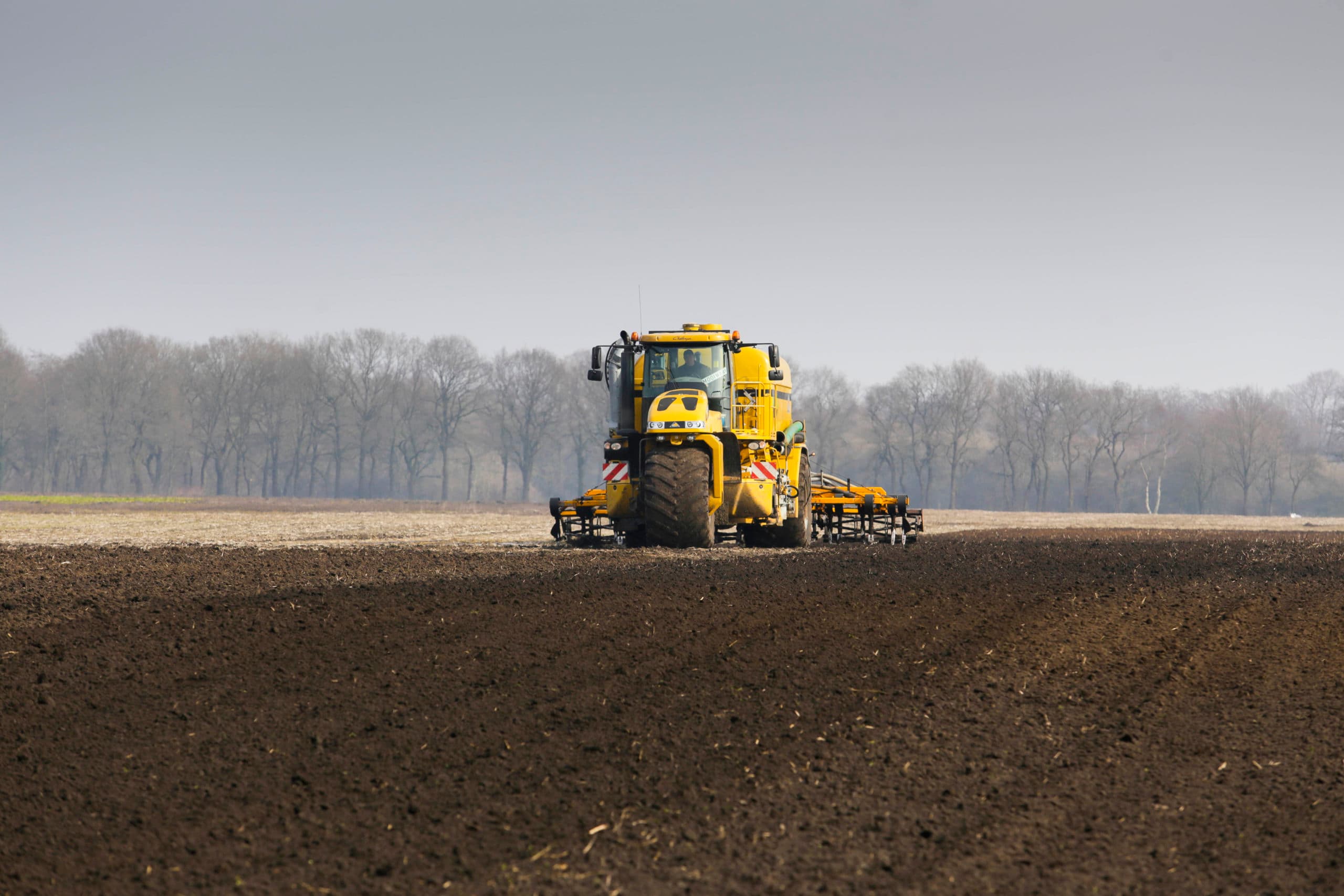Foto: Jan Willem van Vliet