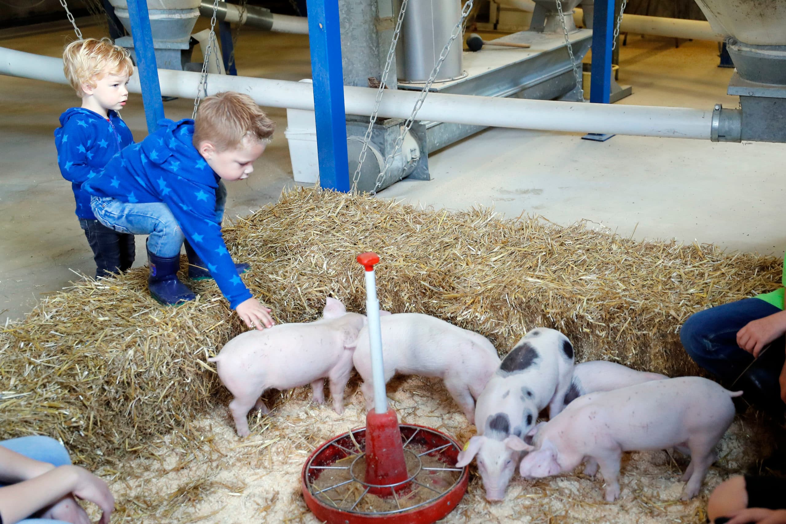 Foto: Bert Jansen