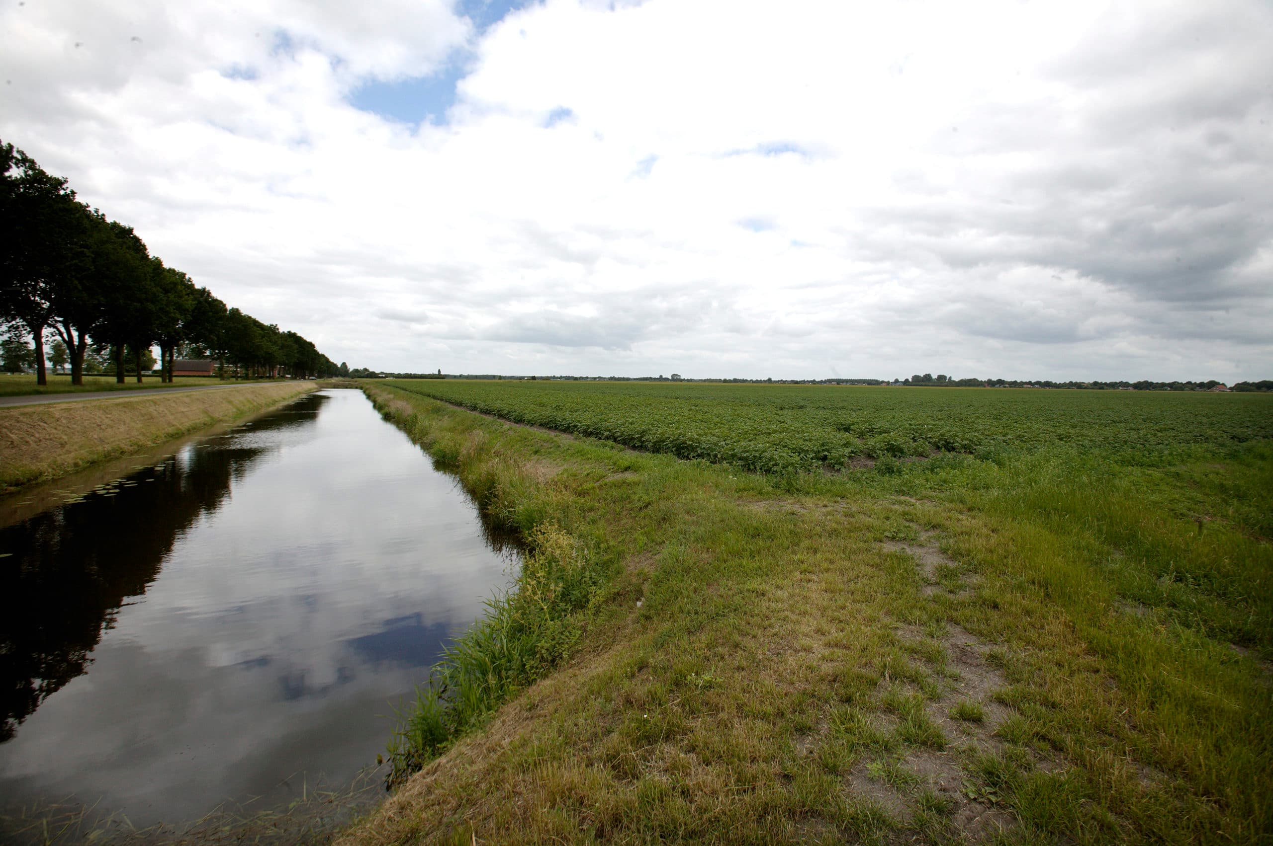 Foto: Hans Prinsen