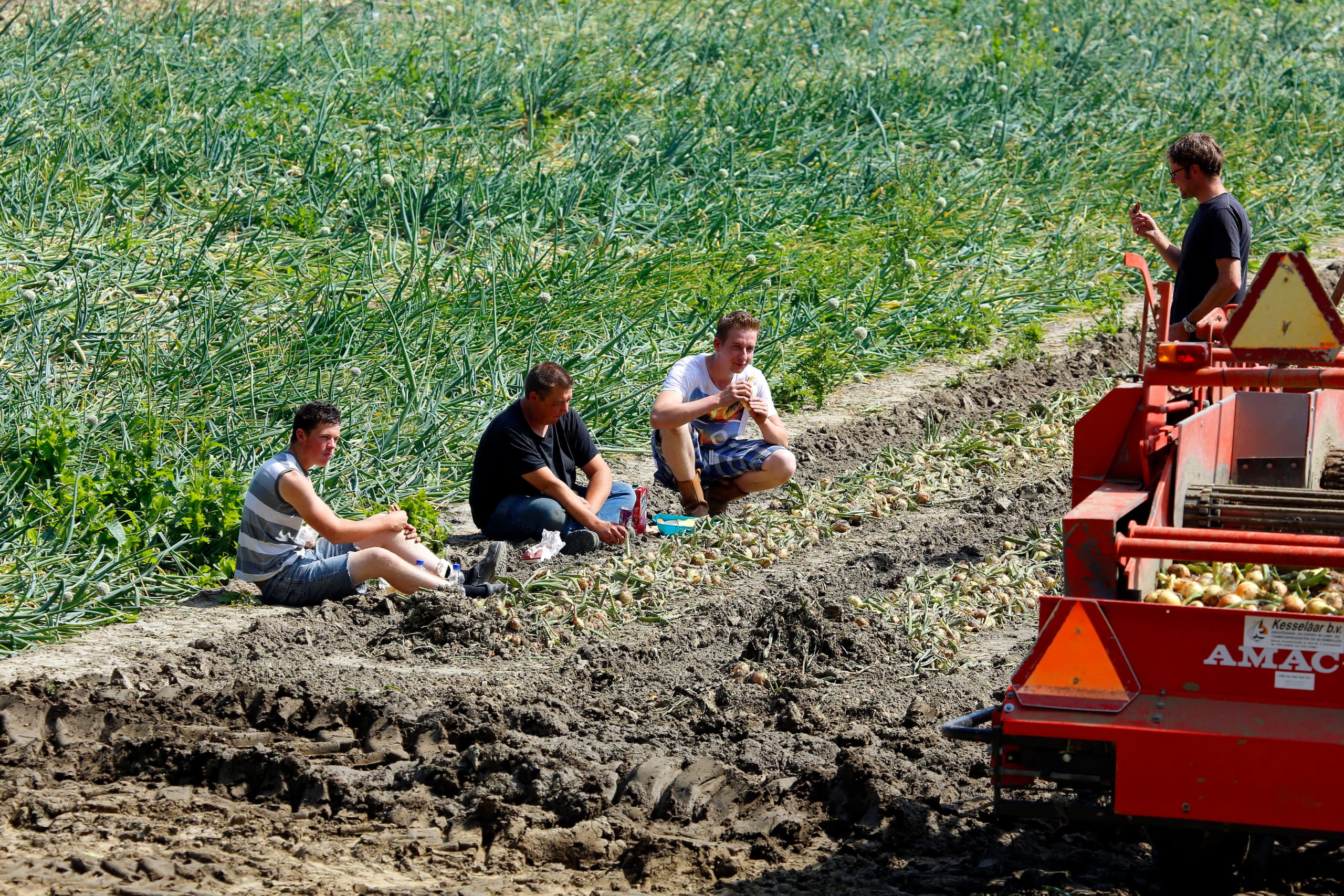 Personeel op een Zeeuws akkerbouwbedrijf neemt pauze tijdens de uienoogst. Bij schaalvergroting hoort personeelsmanagement. - Foto: Henk Riswick