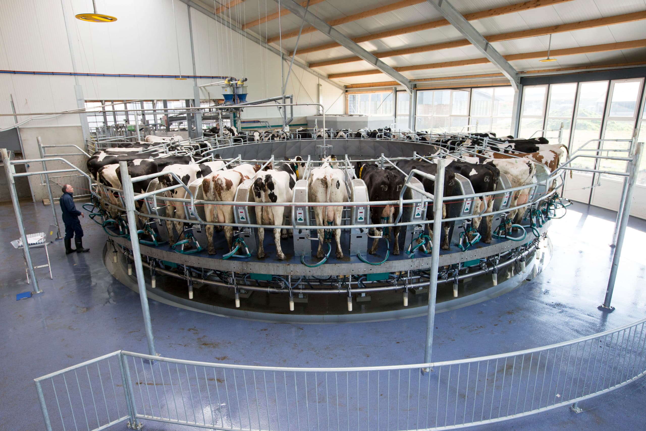 Foto: Anne van der Woude