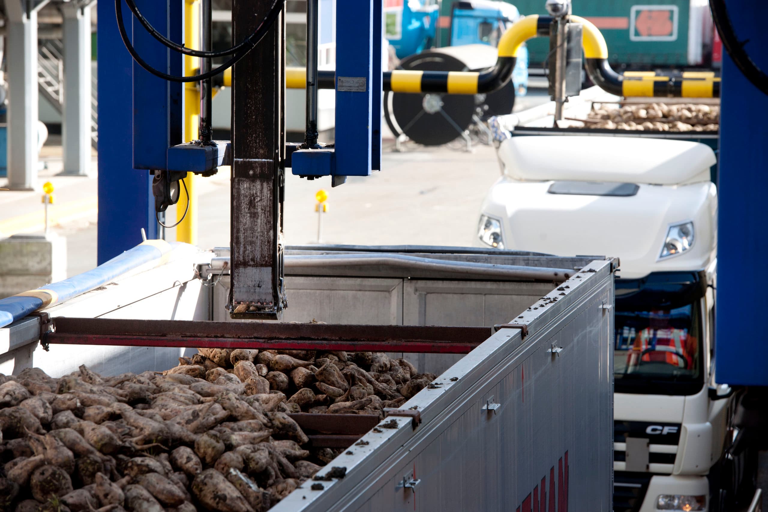 De monstername van suikerbieten, bij de Groningse fabriek Vierverlaten. Het suikergehalte ontwikkelt zich goed. - Foto: Mark Pasveer