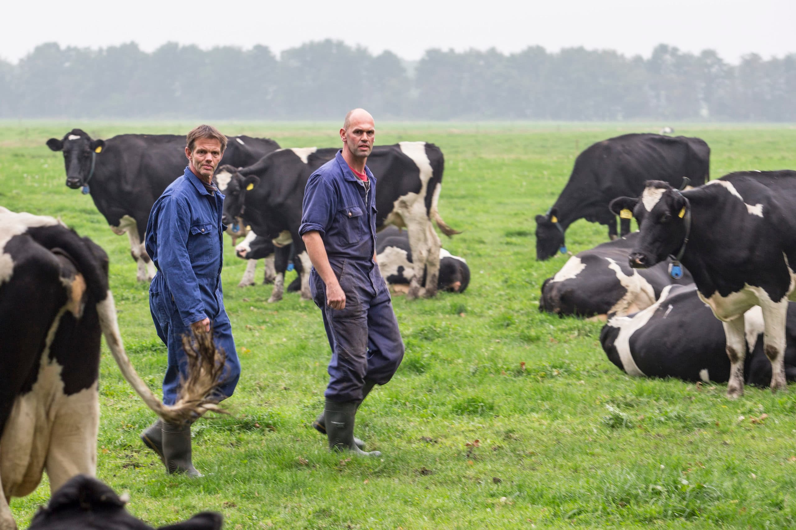 Foto: Jan Willem van Vliet
