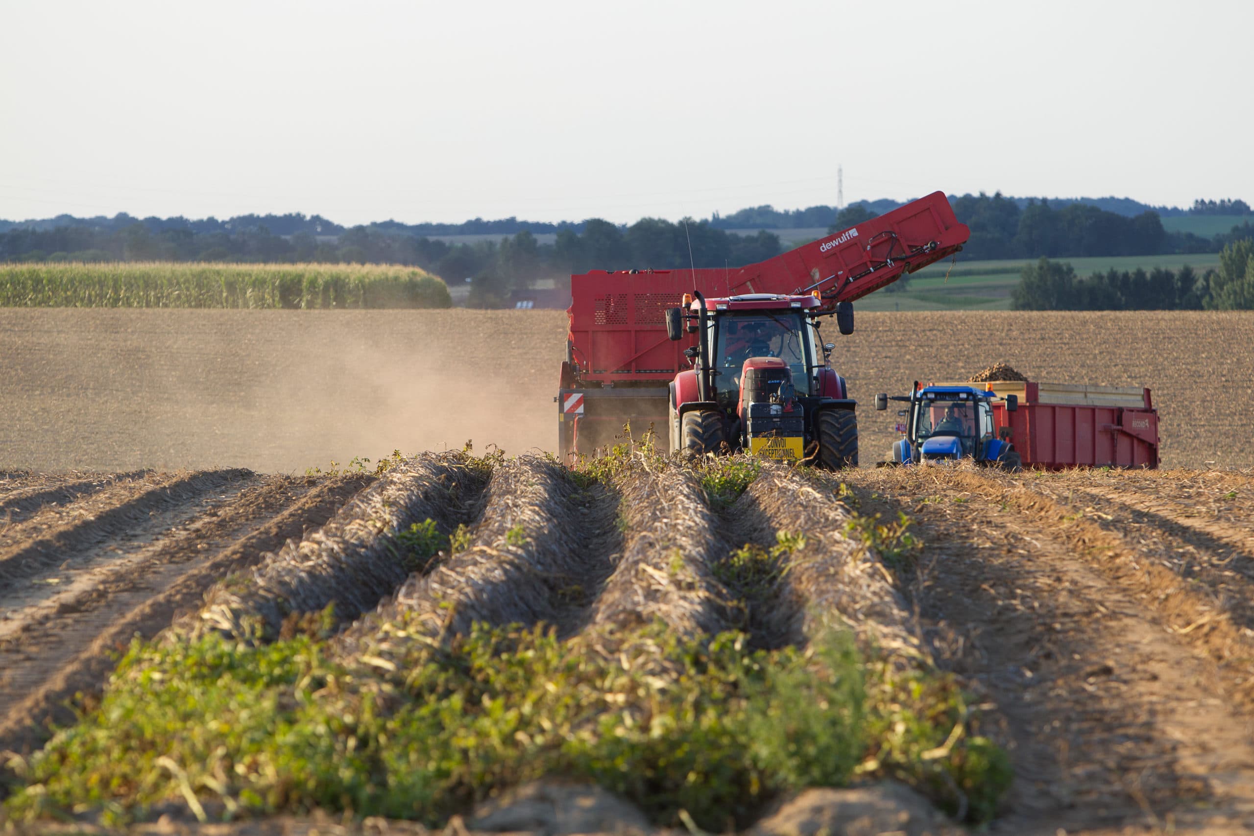 Foto: Peter Roek