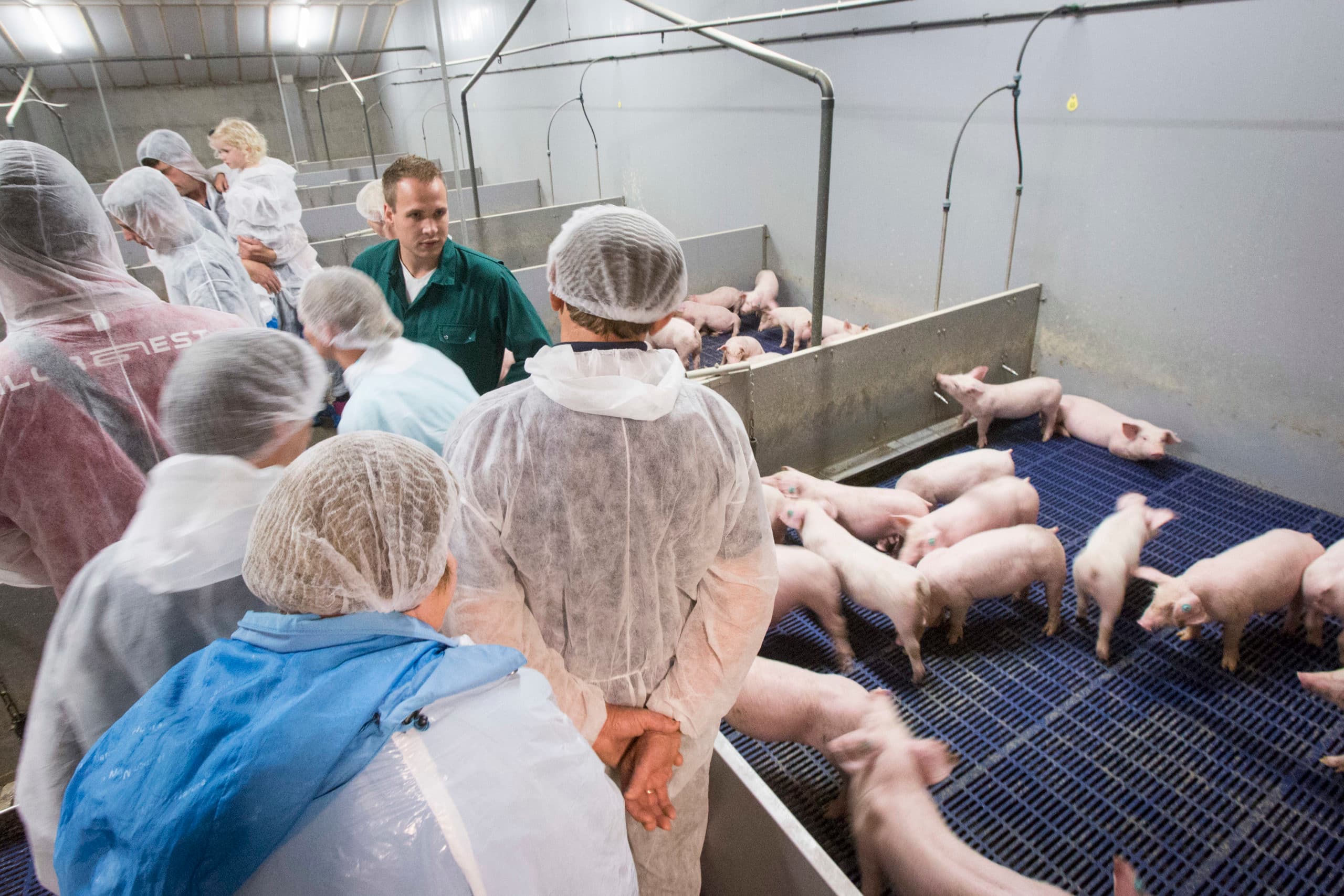 Foto: Koos Groenewold