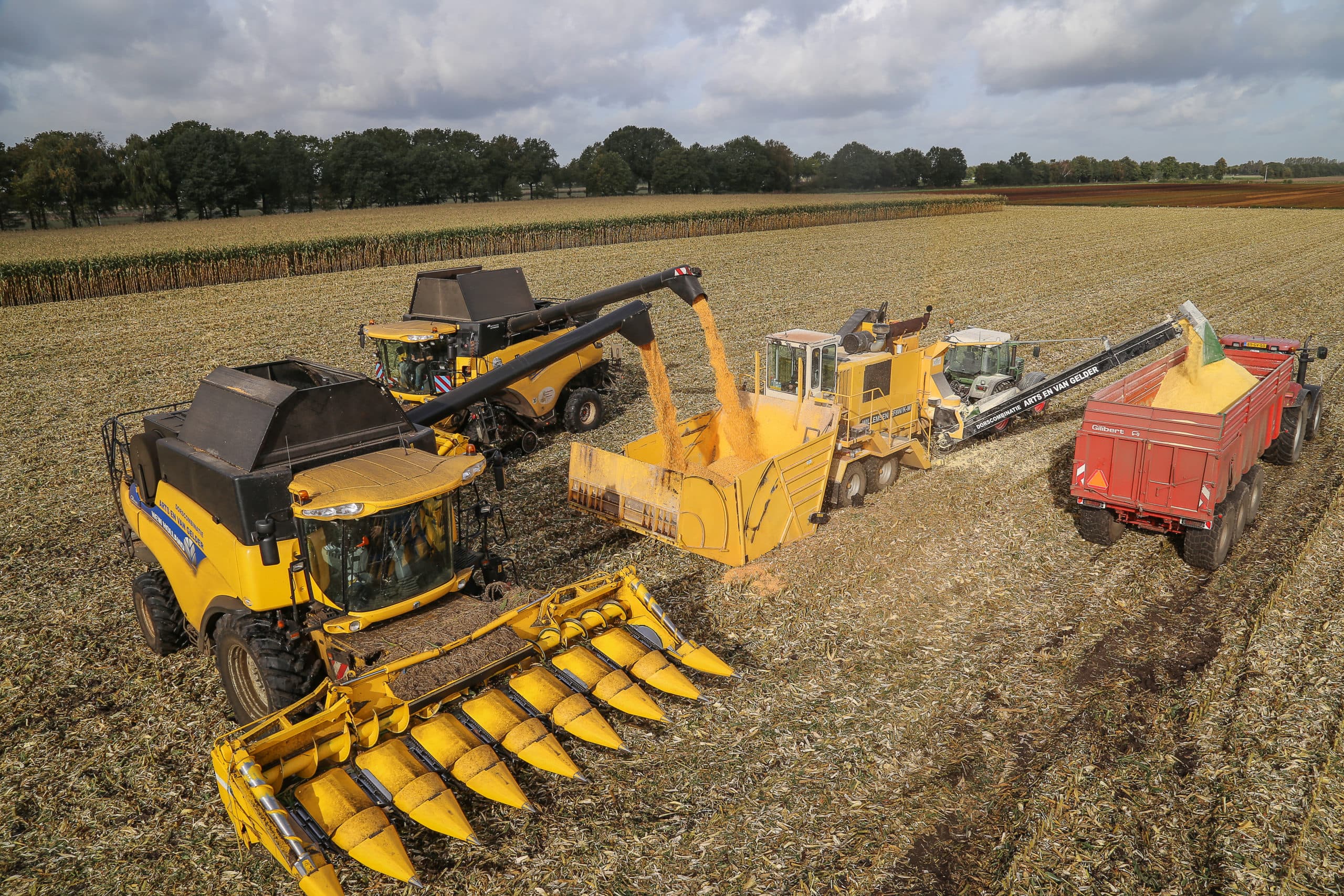 Met 2.000 pk van korrel tot kuil