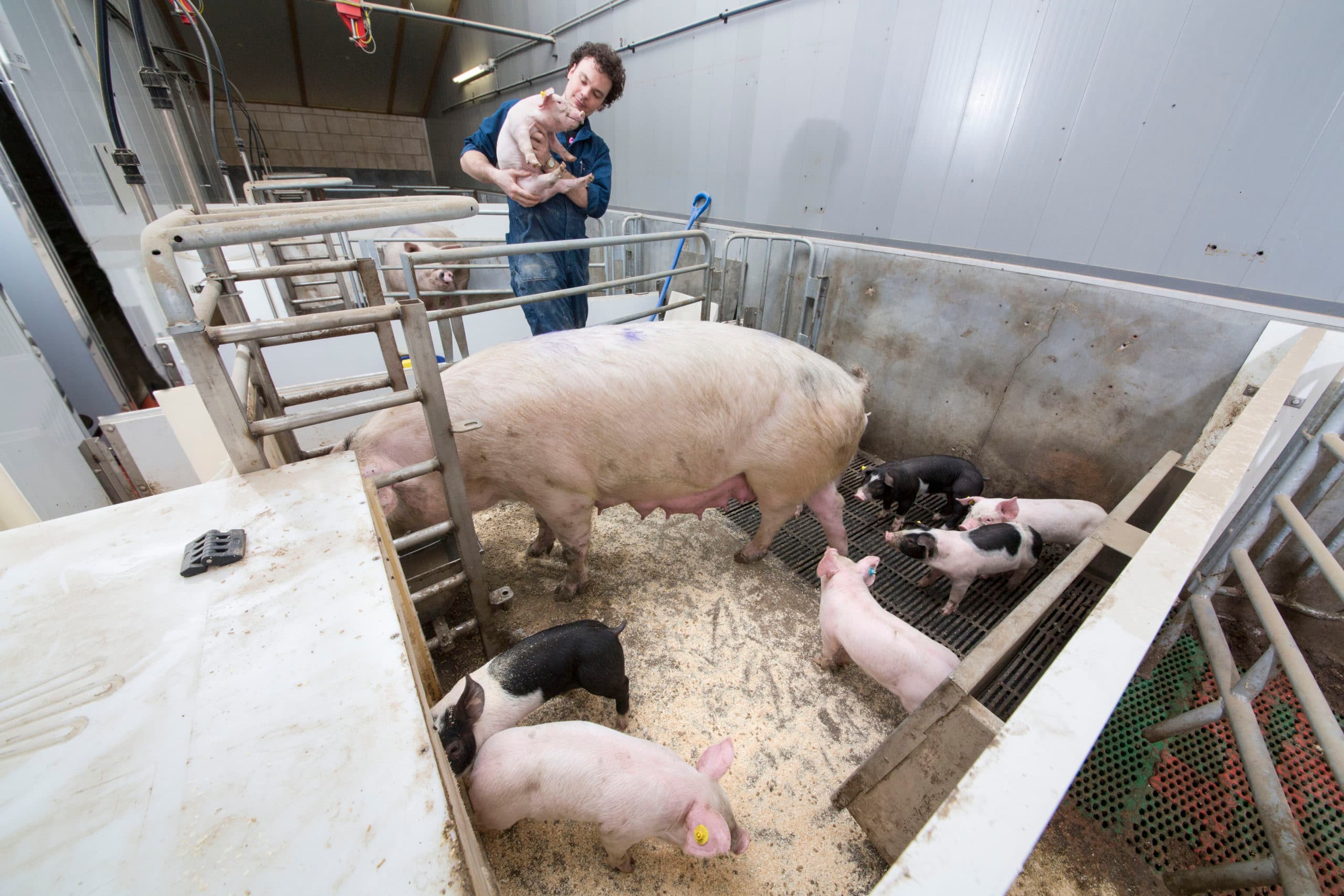 Foto: Koos Groenewold