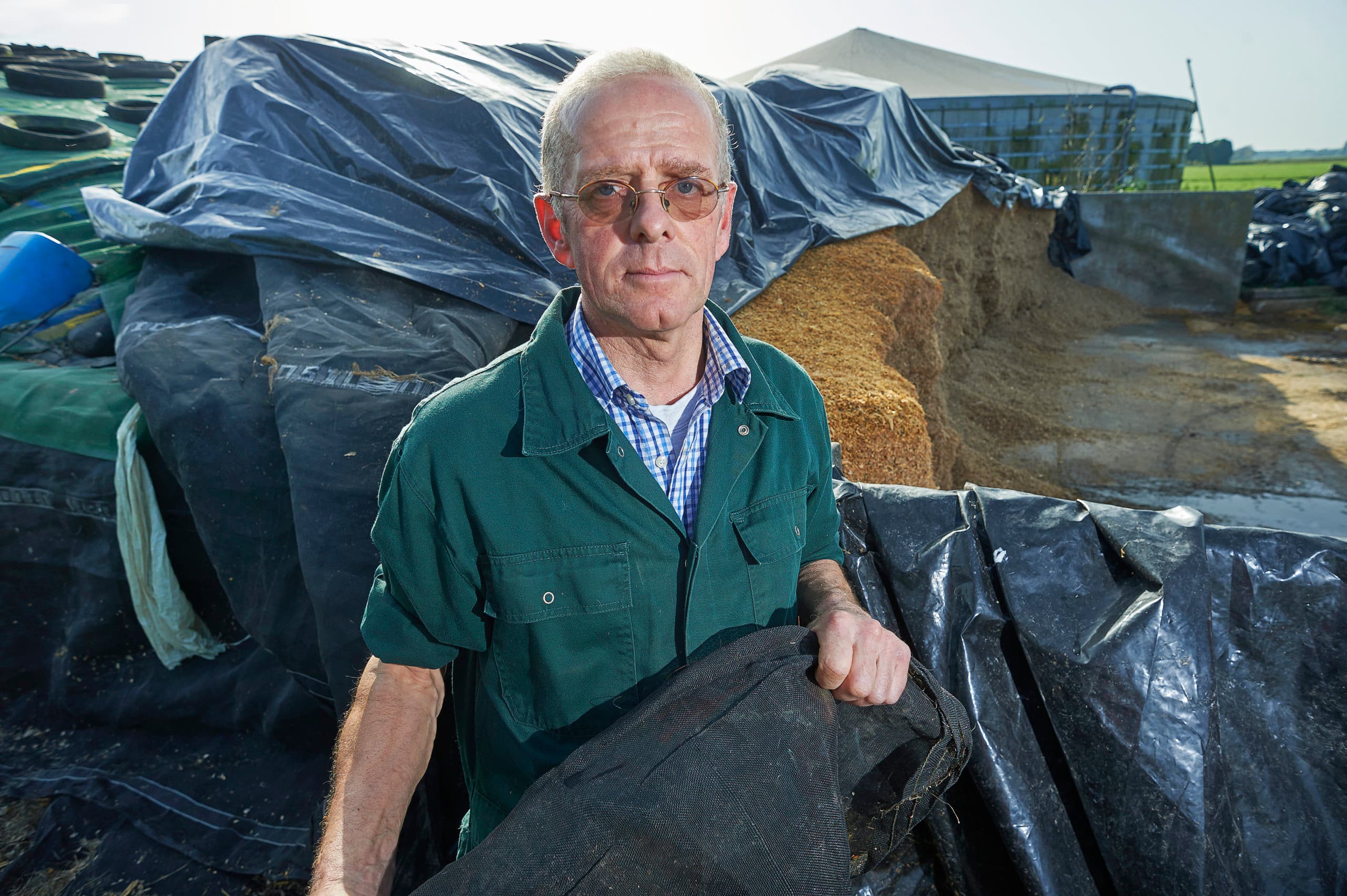 Johan Reijnders bij zijn maiskuil. Het zeil op de kuil werd aan flarden gesneden - Foto: Van Assendelft