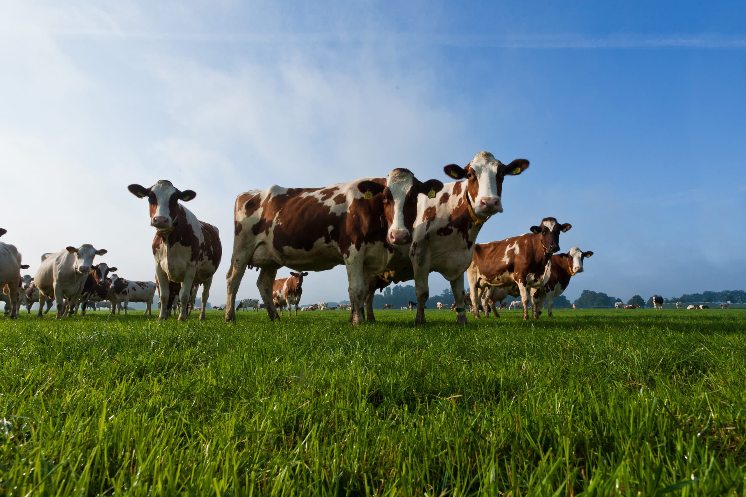 Foto: Joris Telders