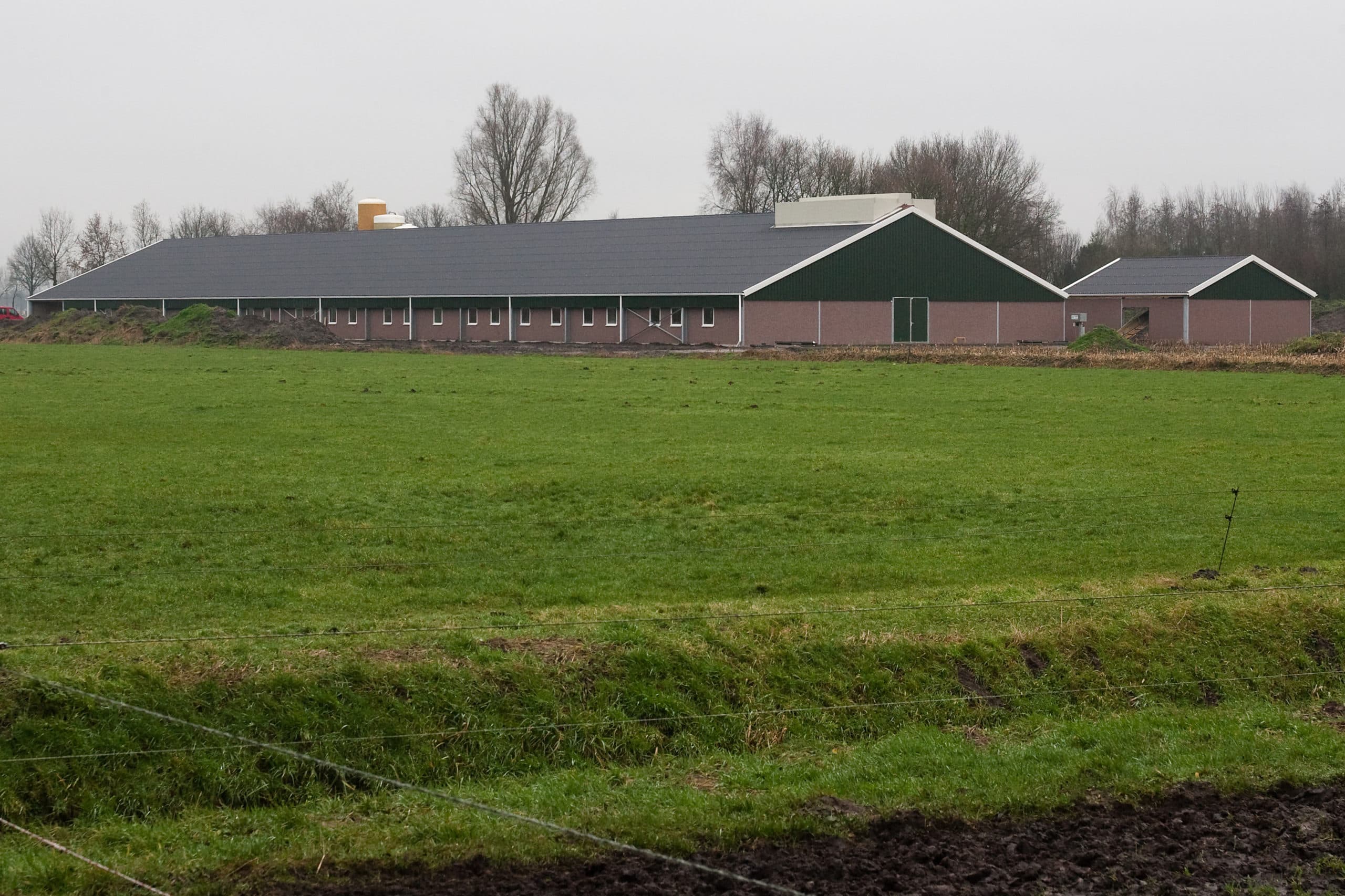 Foto: Ronald Hissink