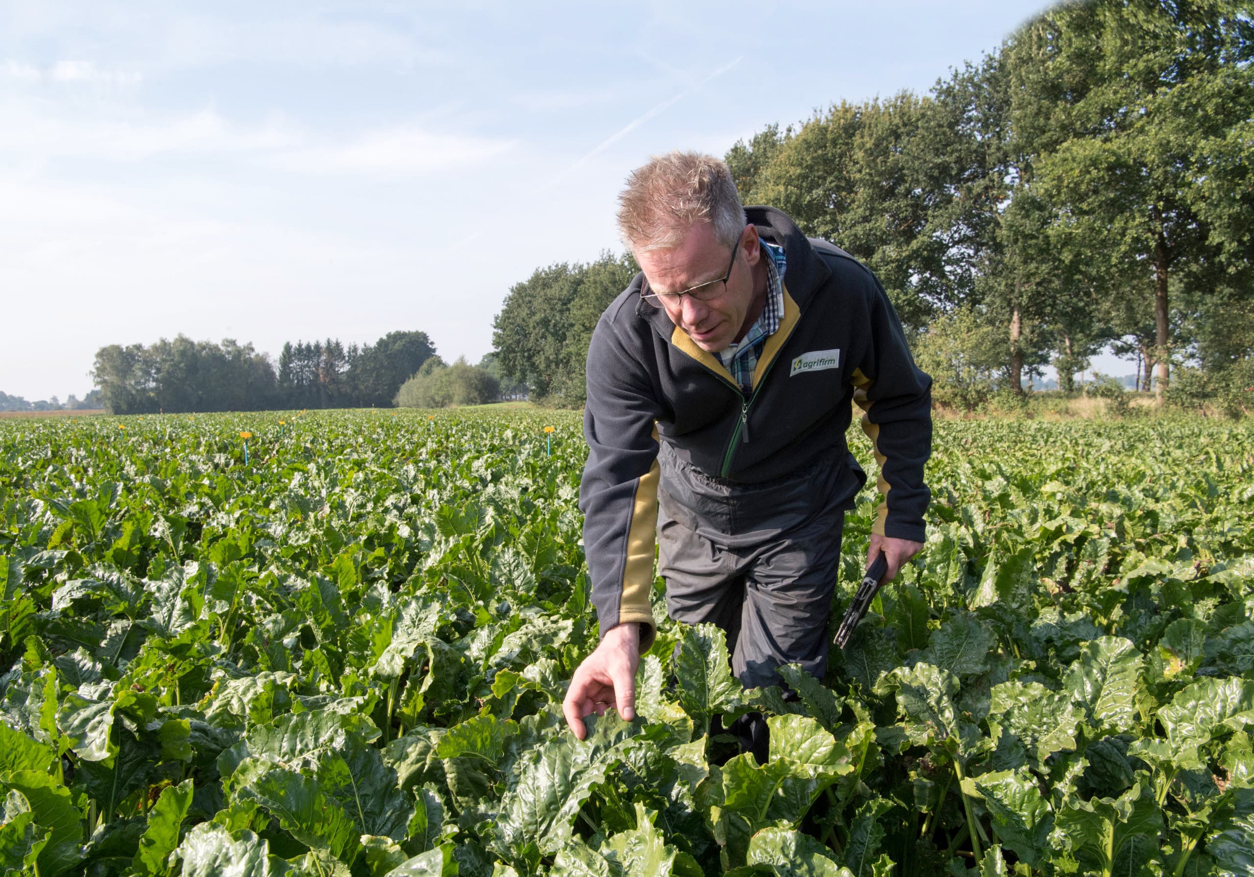 Akkerbouwspecialist Fokko Prins - Foto: Frank Uijlenbroek