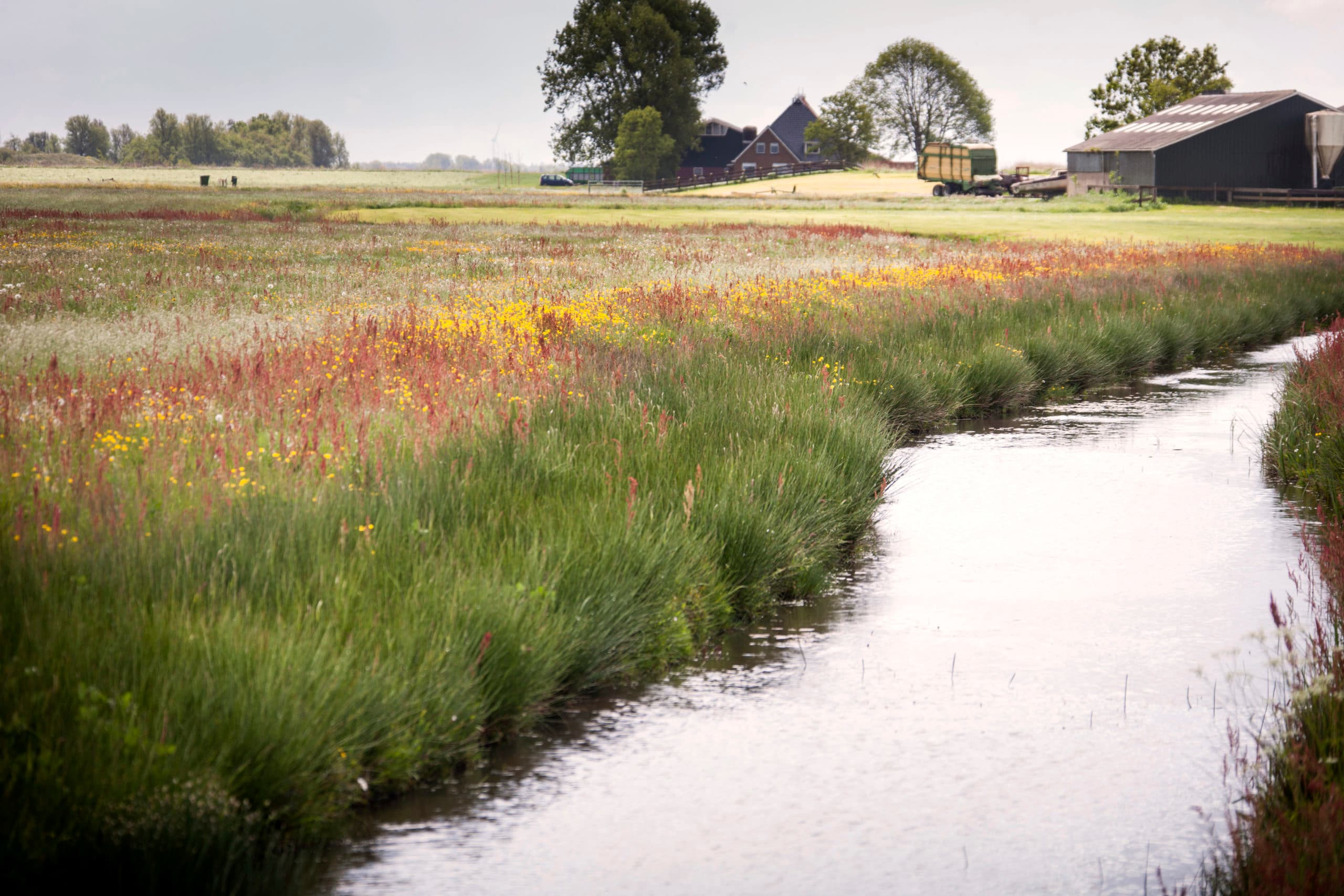 Foto: René den Engelsman