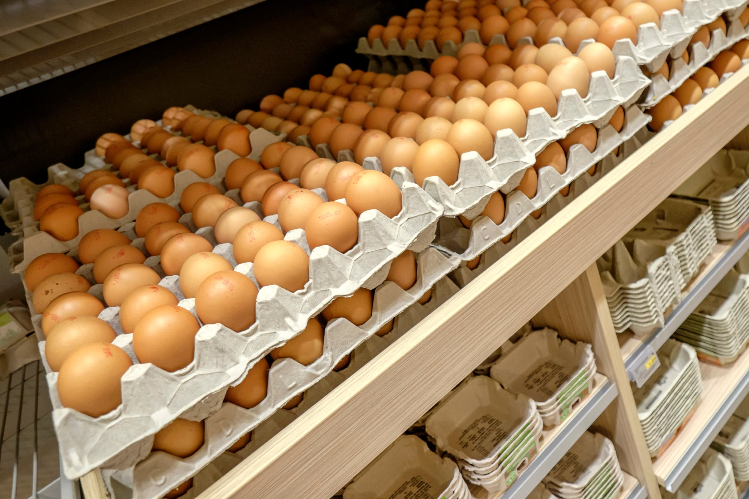 Foto: Roel Dijkstra
