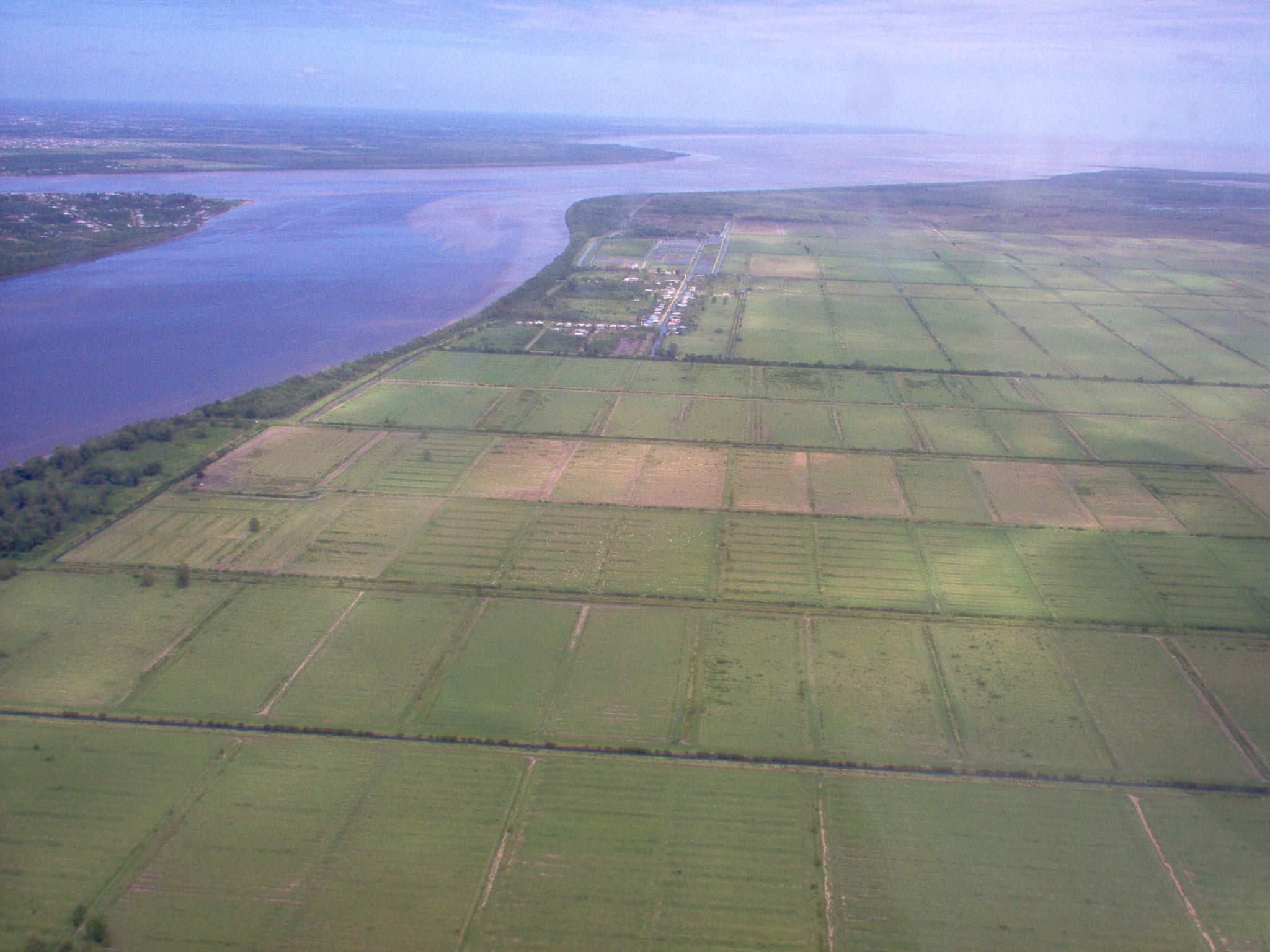 De bedrijfsvoering van de Verenigde Cultuur Maatschappijen (VCM) in Suriname is afgestemd op water.  Nog geen 40 jaar geleden stonden er op de 5.000 hectare landbouwgrond enkel bomen en struiken. Grote delen van de plantage overstroomden dagelijks met brak water uit de Commewijnerivier. Pionier Armand van Alen werd door het Surinaamse Ministerie van Landbouw, Veeteelt en Visserij voor gek verklaard toen hij aangaf er runderen te gaan houden. Foto's: Steven de Rijk.
