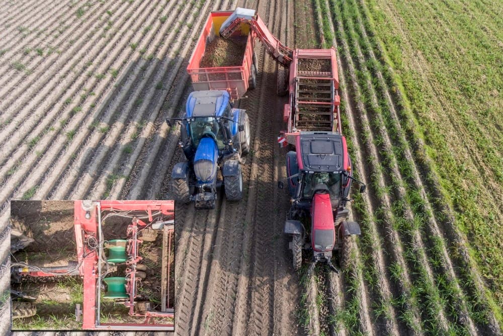 Met z n drieën telen ze 40 hectare Innovator consumptieaardappelen. Rot zit er niet in, wel is de ondergrond erg plakkerig. De pootaardappelen van de combinatie zijn al eerder gerooid.