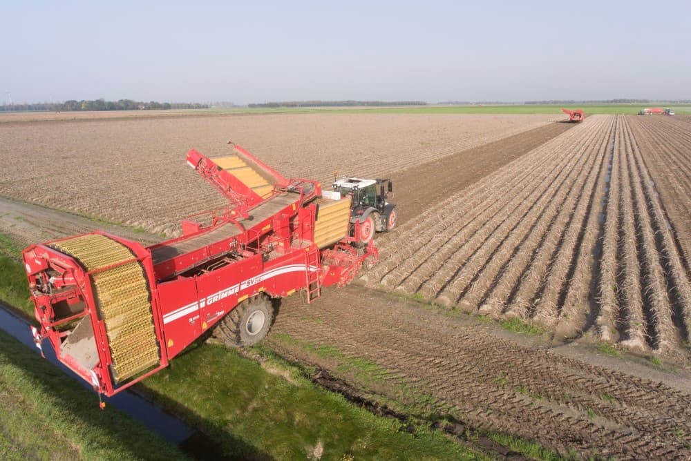 De Lady Anna-aardappelen komen mooi in de schuur en zijn goed te ventileren. Er zit niet veel losse grond tussen. Boerdijk (rechts) is tevreden met deze oogst.