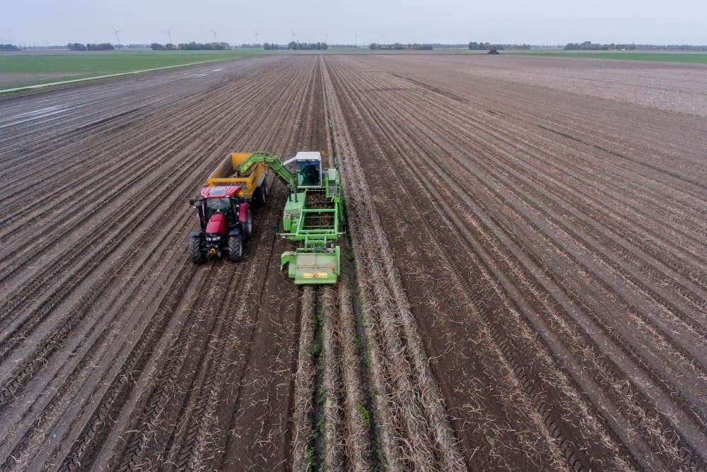 Andre Boerdijk in Nagele is naar volle tevredenheid zijn 10 hectare Lady Anna-consumptieaardappelen aan het rooien. Het water in de spuitsporen laat zien dat het nog niet overal droog is.