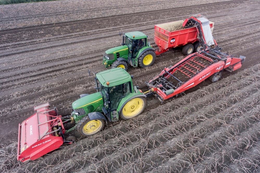 De gebroeders De Zeeuw in Nagele zijn met twee rooiers een perceel Innovator fritesaardappels aan het oogsten. Het rooien gaat prima.