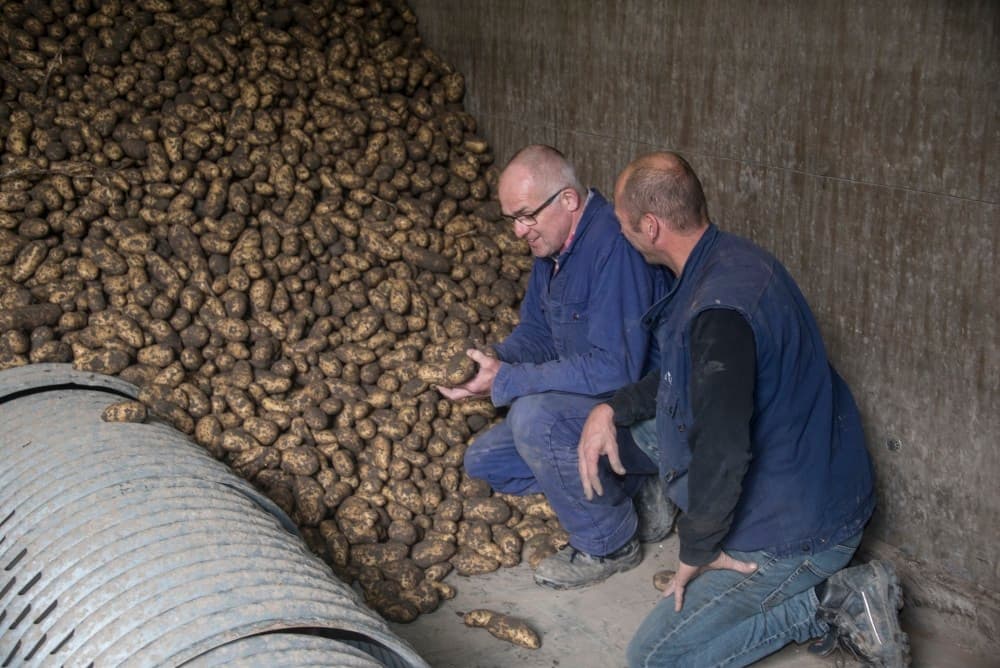 De Innovators komen er mooi schoon uit. De Zeeuw is bijna klaar met de aardappeloogst. Ze zijn inmiddels volop bezig met de peenoogst.