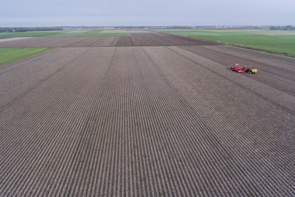 Leo Oosterlaan uit Nagele had voor de laatste regen al 3 hectare van dit 20 hectare grote perceel Victoria consumptieaardappelen gerooid. Dat is het gedeelte links op de foto, waar nu de plassen water staan.