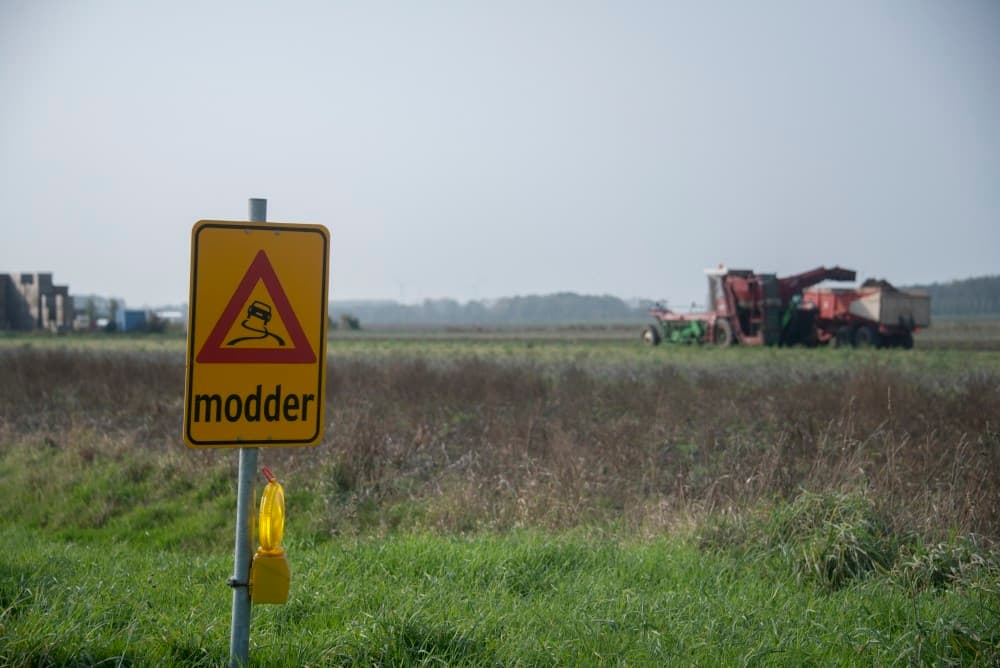 Even verderop zijn Gerard Arts, Peter Doornbos en Klaas Jansen bezig met hun laatste perceel Innovator-consumptieaardappelen. De combinatie rooit met een 4-rijige Grimme SF 3000 wagenrooier op rupsen.