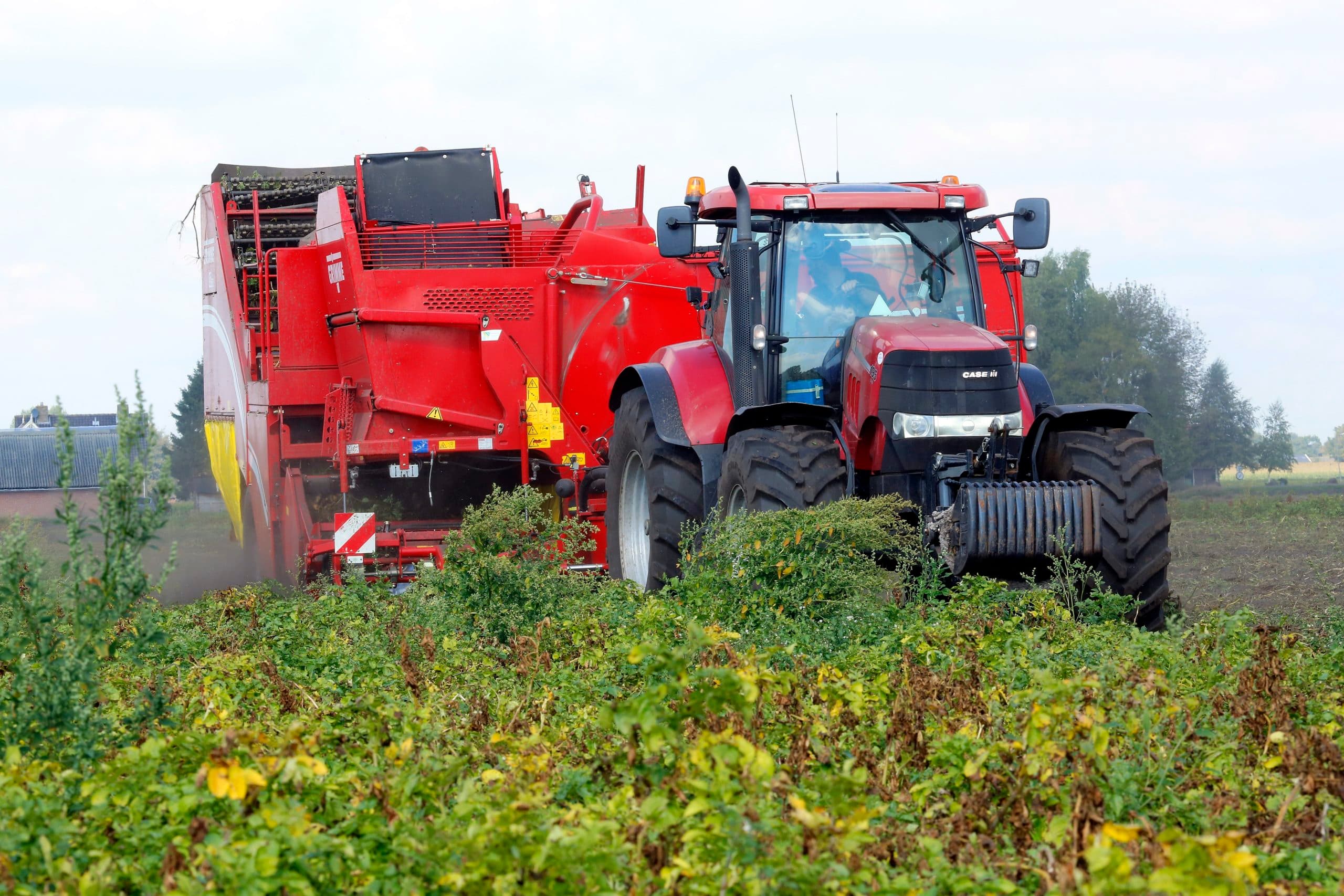 Foto: Henk Riswick