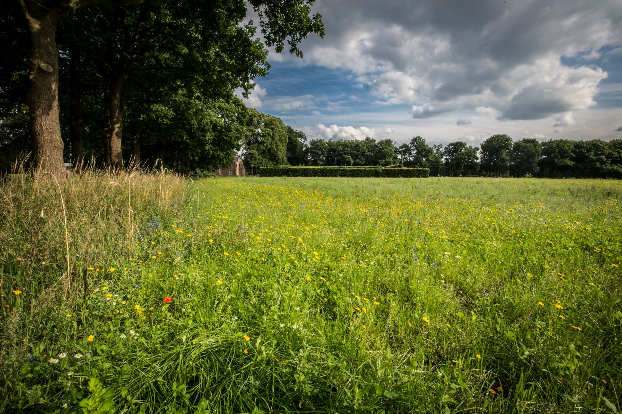 Foto: Koos Groenewold