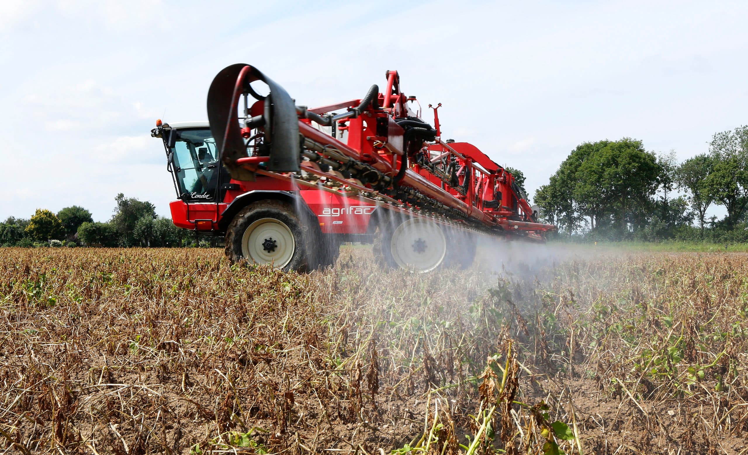 Foto: Henk Riswick
