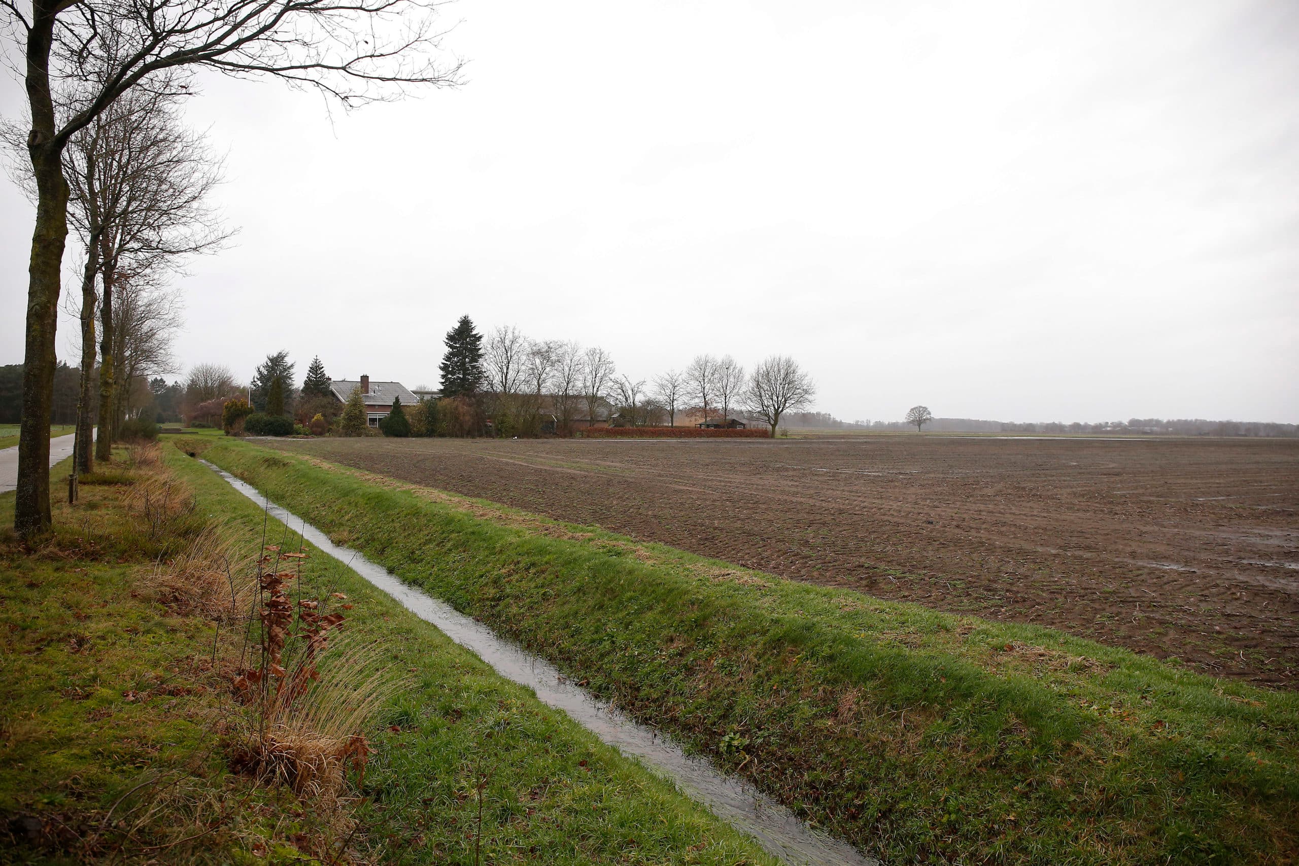 Foto: Hans Prinsen