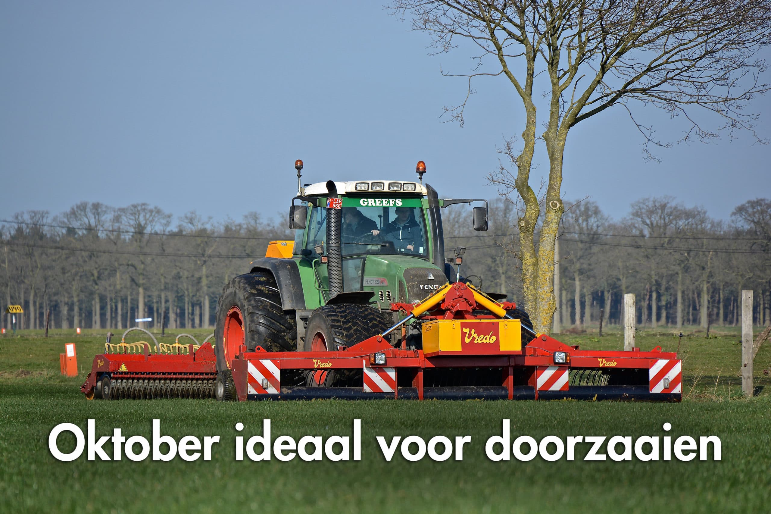 Foto: Barenbrug